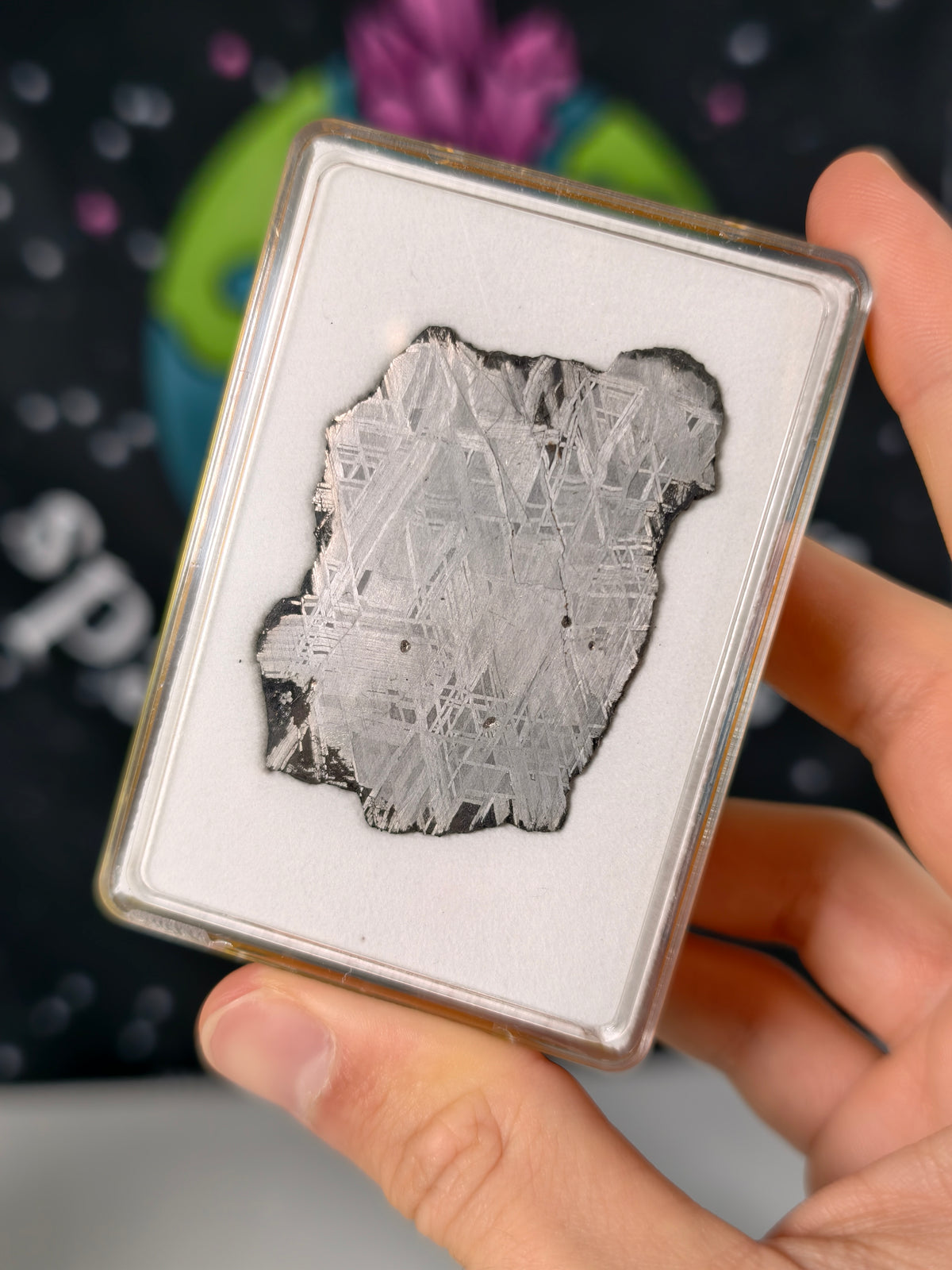 Muonionalusta Meteorit Scheibe 18,87g mit Zertifikat