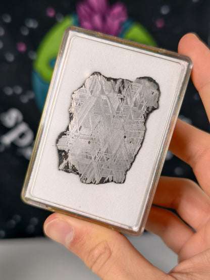 Muonionalusta Meteorit Scheibe 18,87g mit Zertifikat