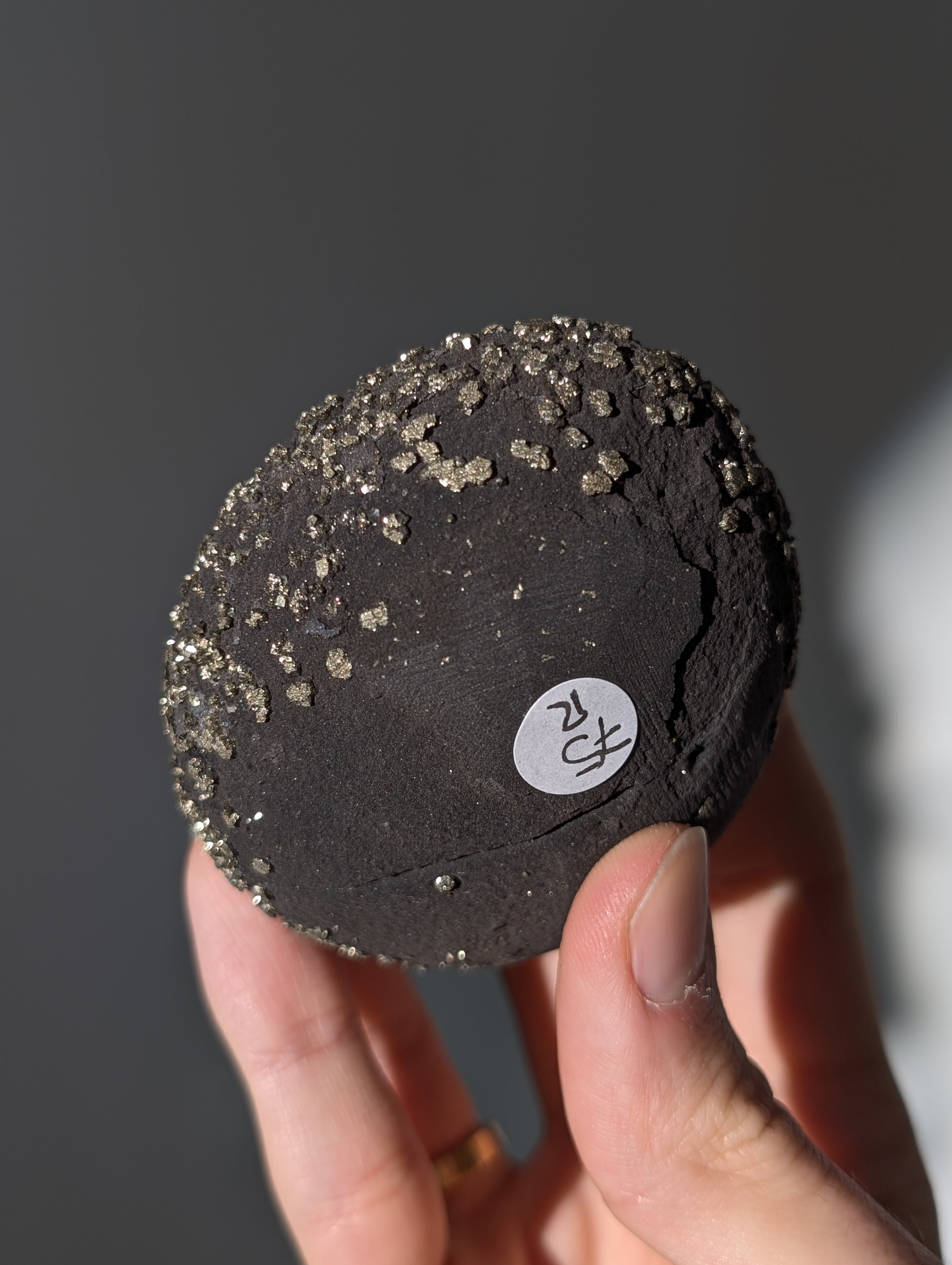 Pyrit Konkretion Schiefer Kugel