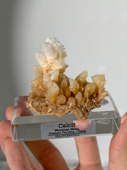 Korallenförmiger Calcit - Wenshan Mine
