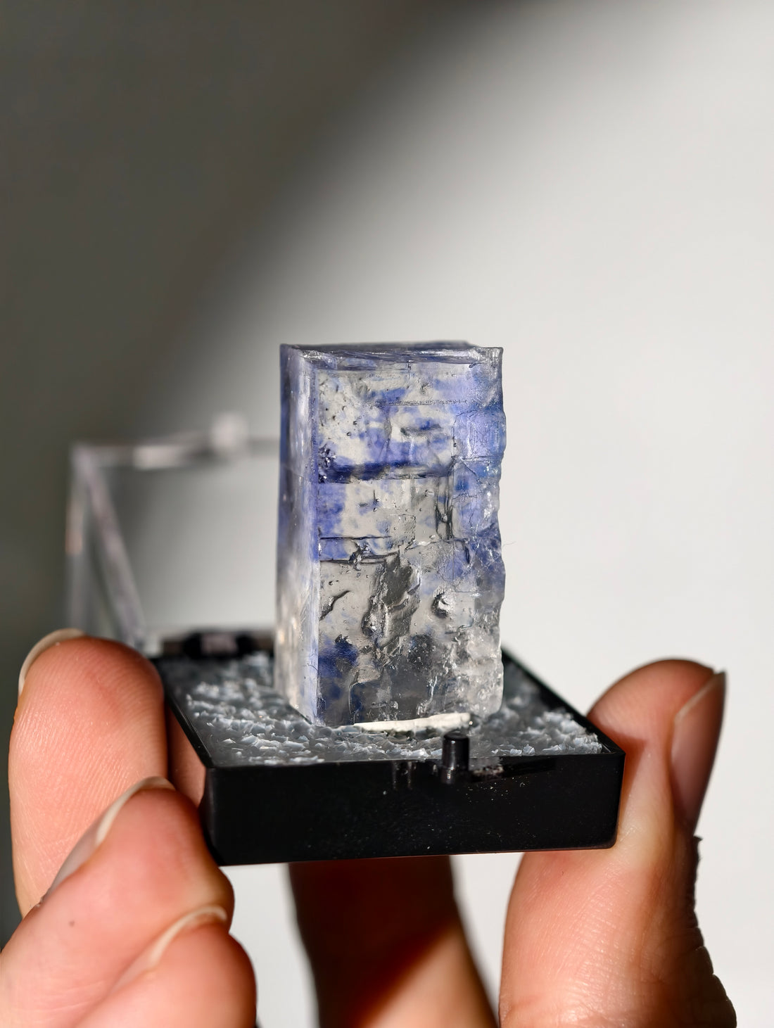 Blauer Halit aus Türkei in Box