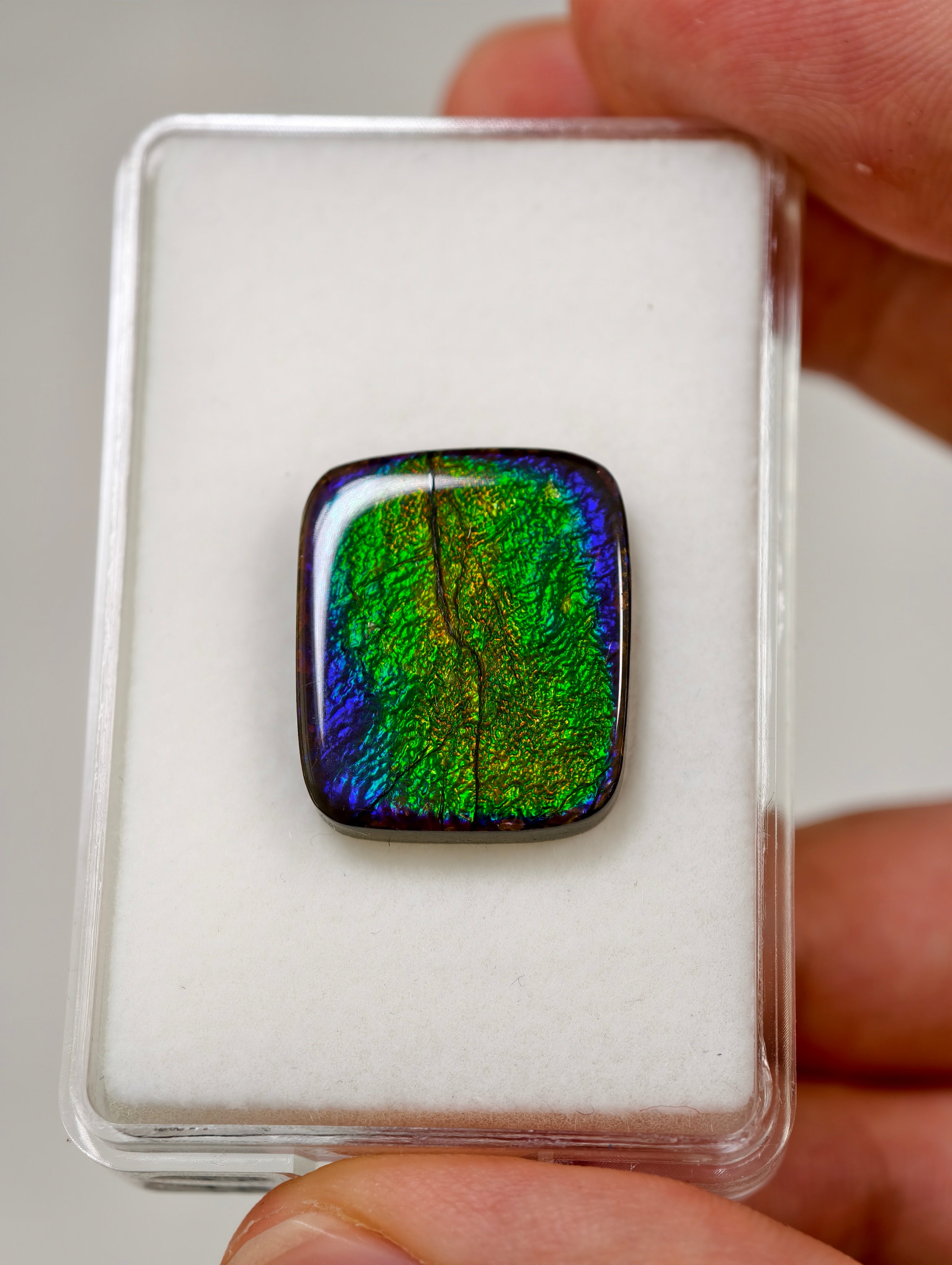 Ammolit Cabochons aus Kanada (TOP QUALITÄT)