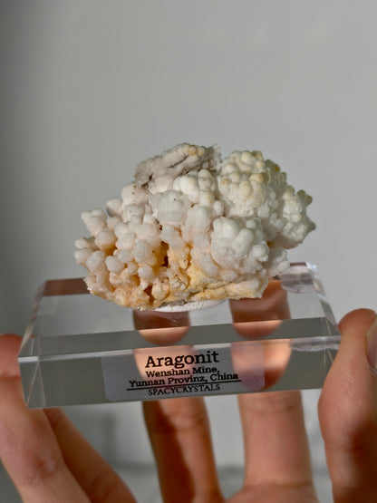 Koralliger Aragonit - Wenshan Mine