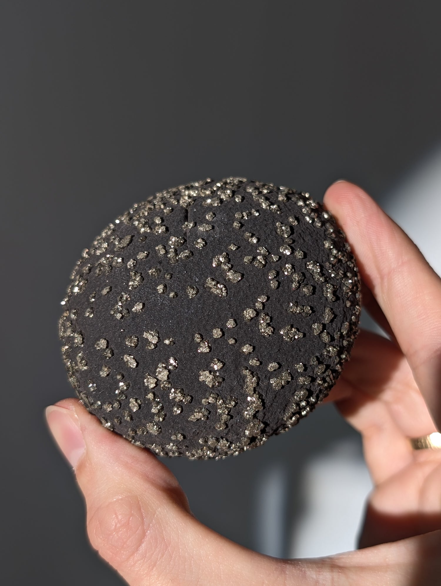 Pyrit Konkretion Schiefer Kugel