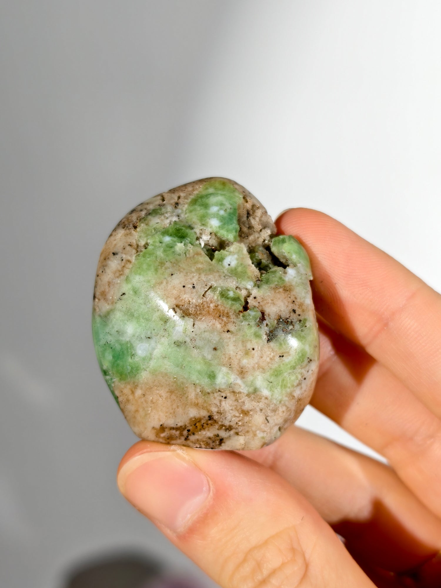 Seltene Haüyn Sodalith Mix Freiform (UV Aktiv!)