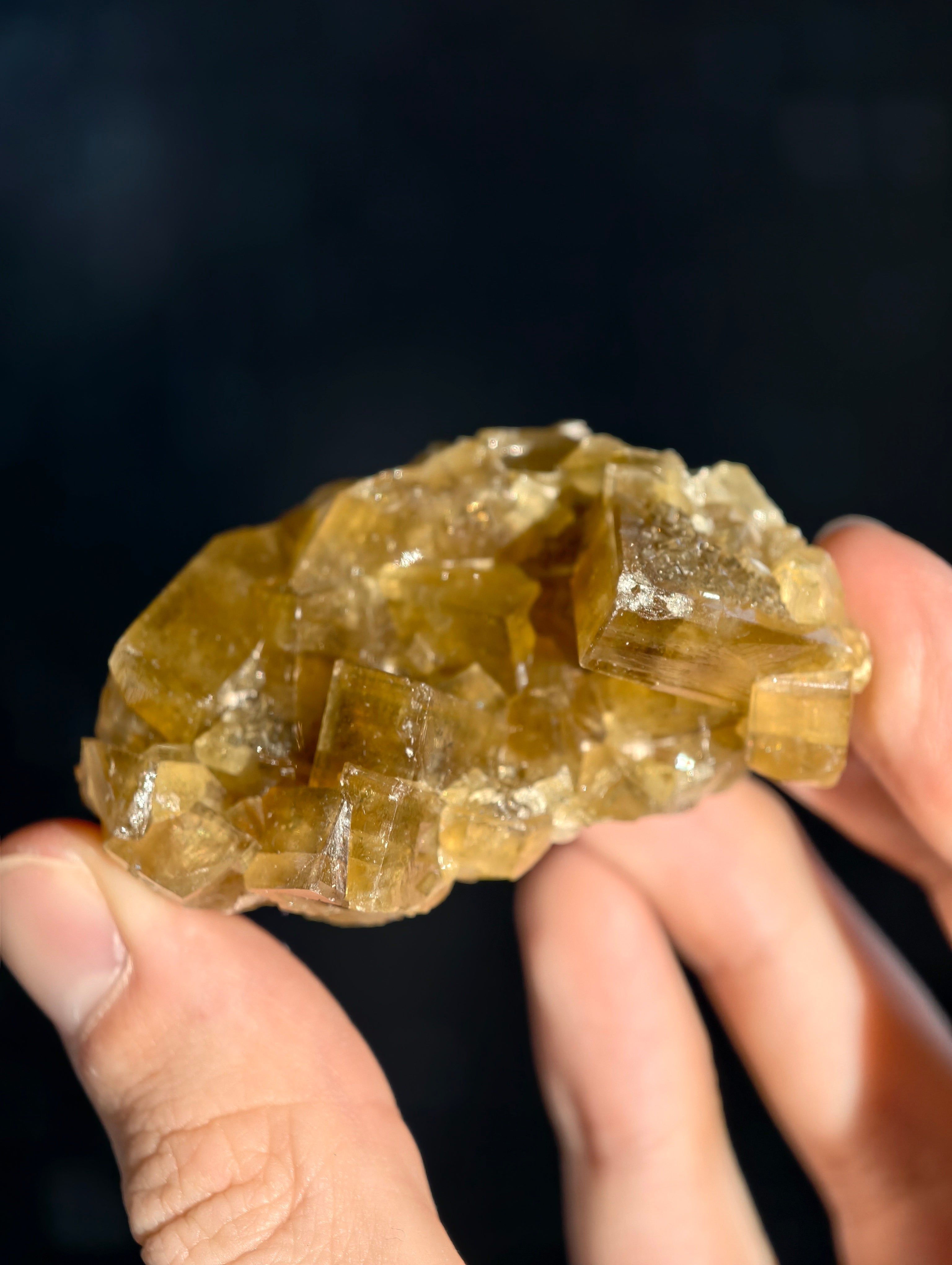 Goldgelber Barit 🍯 aus Jiangxi
