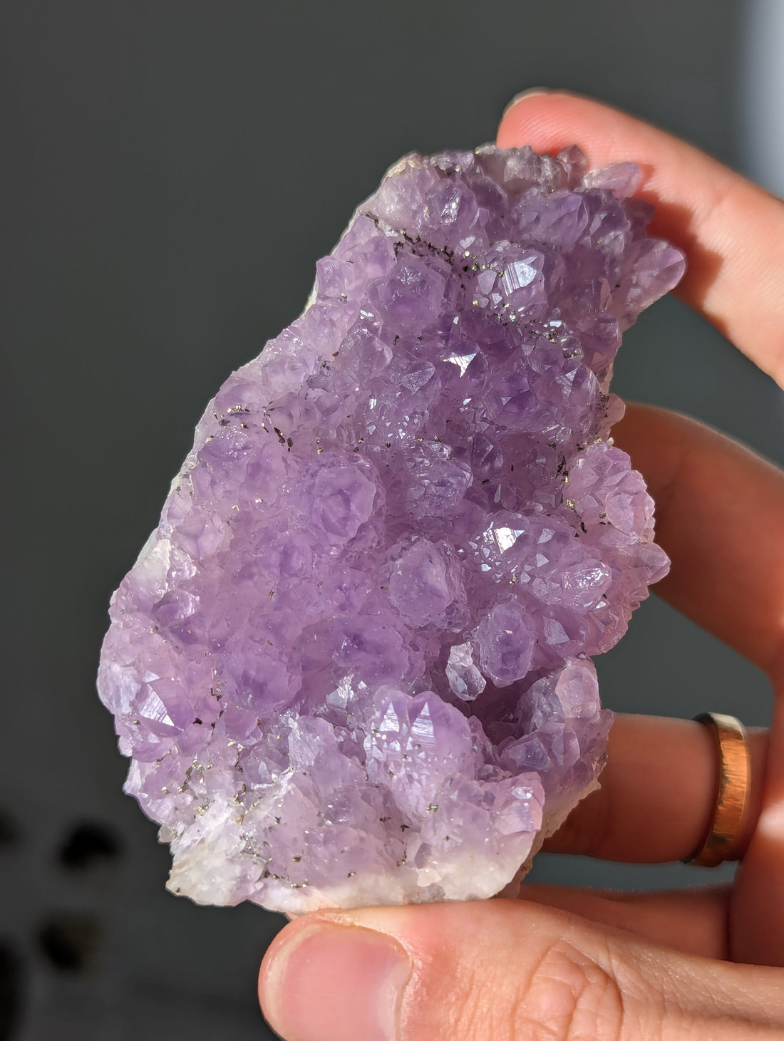 Pyrit auf Amethyst aus Bulgarien ✨