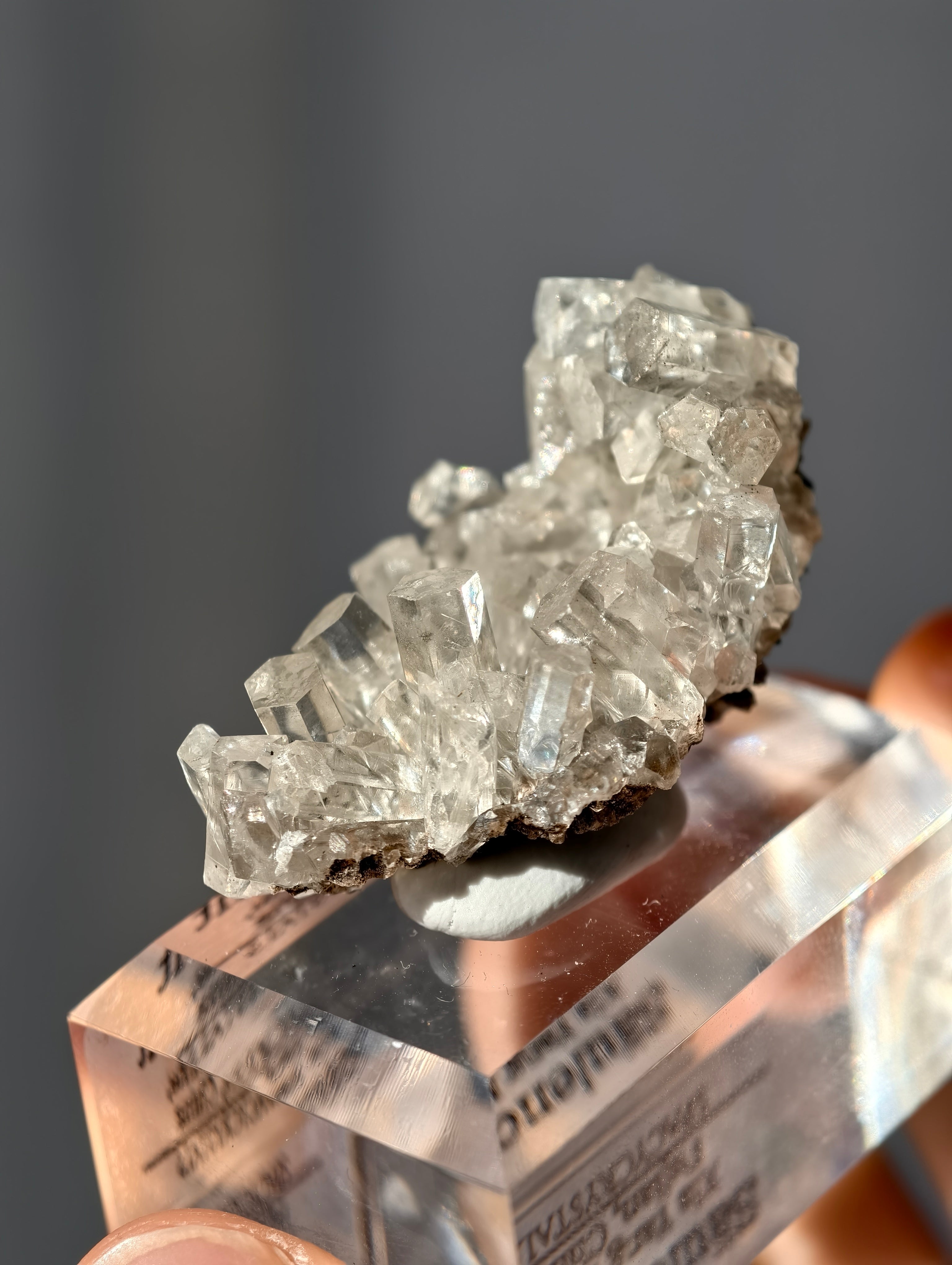 seltener Säulencalcit - Columnar Calcite