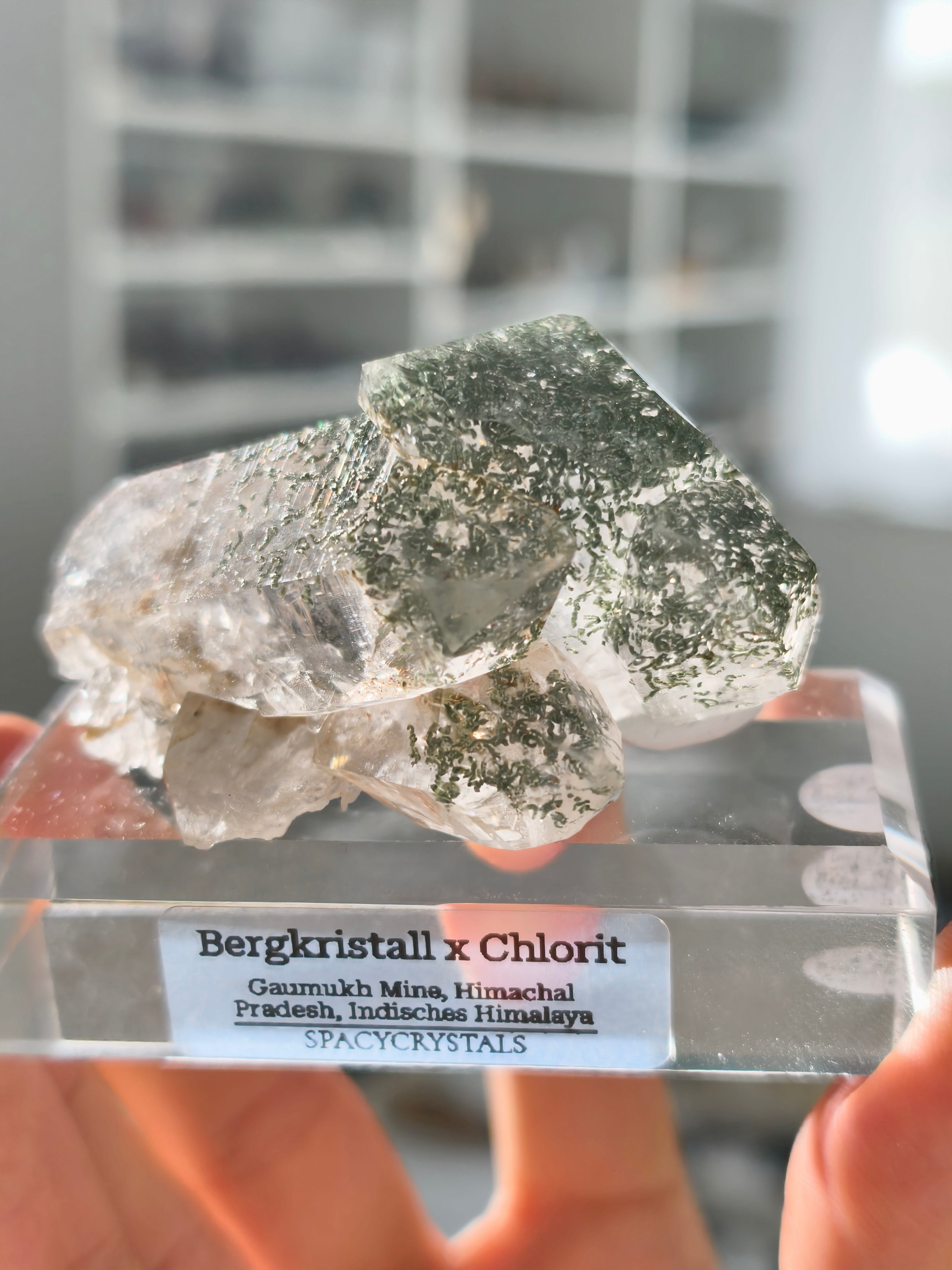 Himalaya Bergkristall Cluster mit Chlorit Einschlüssen