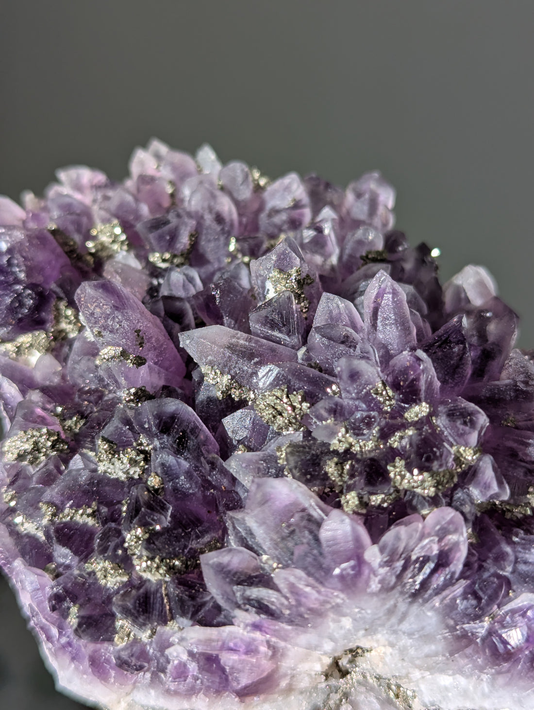 Pyrit auf dunkellila Amethyst aus Bulgarien ✨