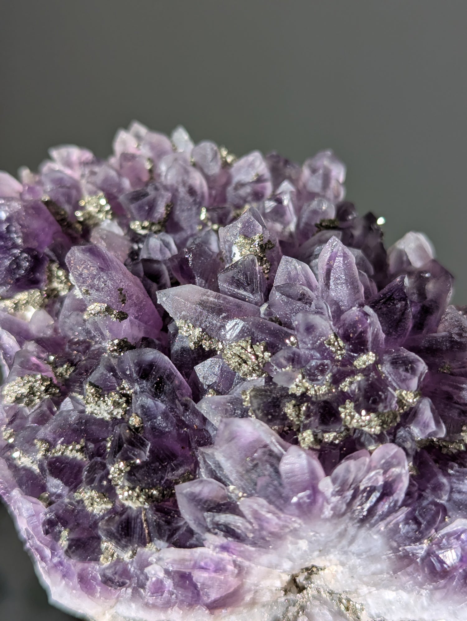 Pyrit auf dunkellila Amethyst aus Bulgarien ✨