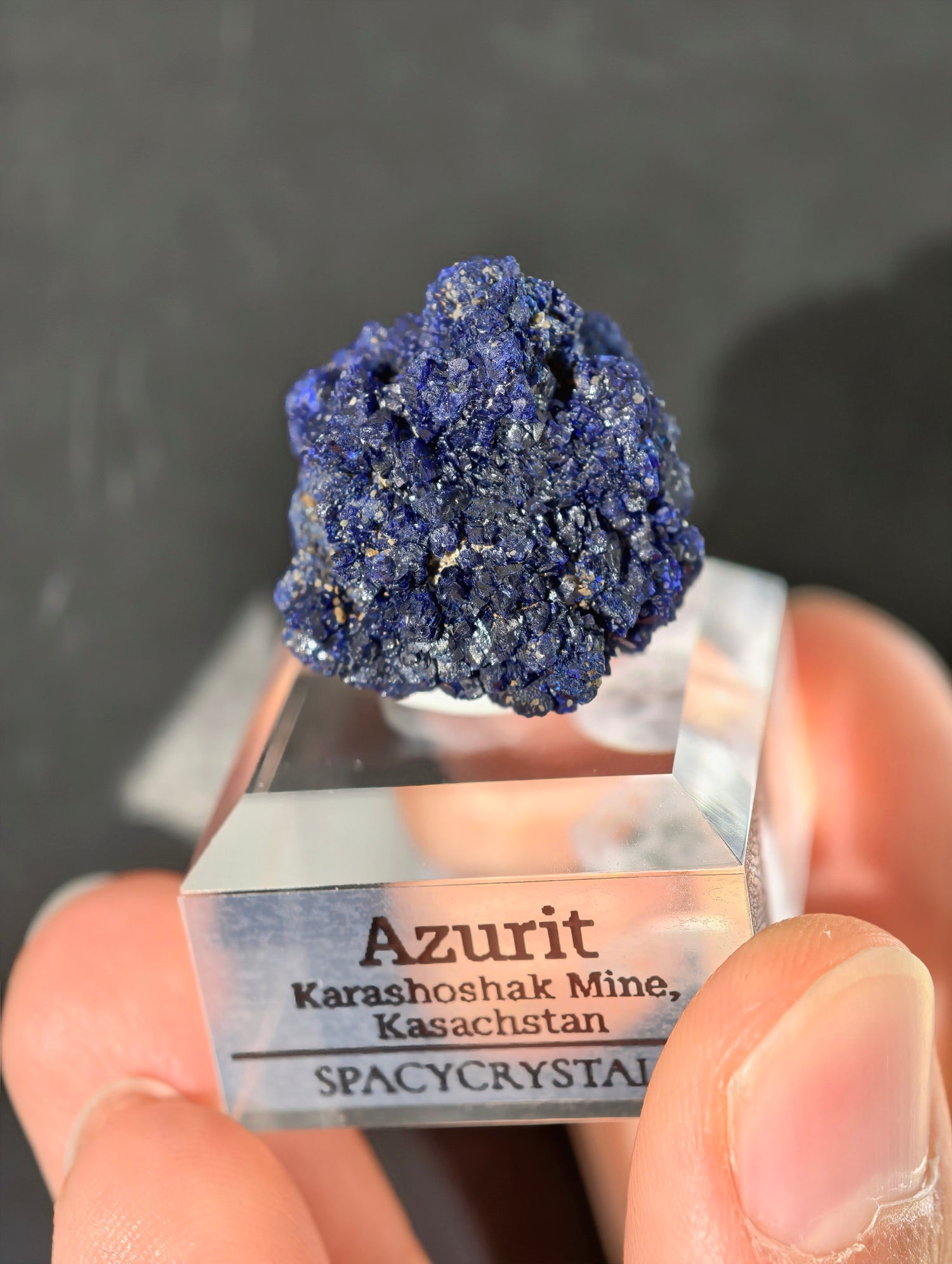 Königsblaue Azurit Kristalle aus Kasachstan
