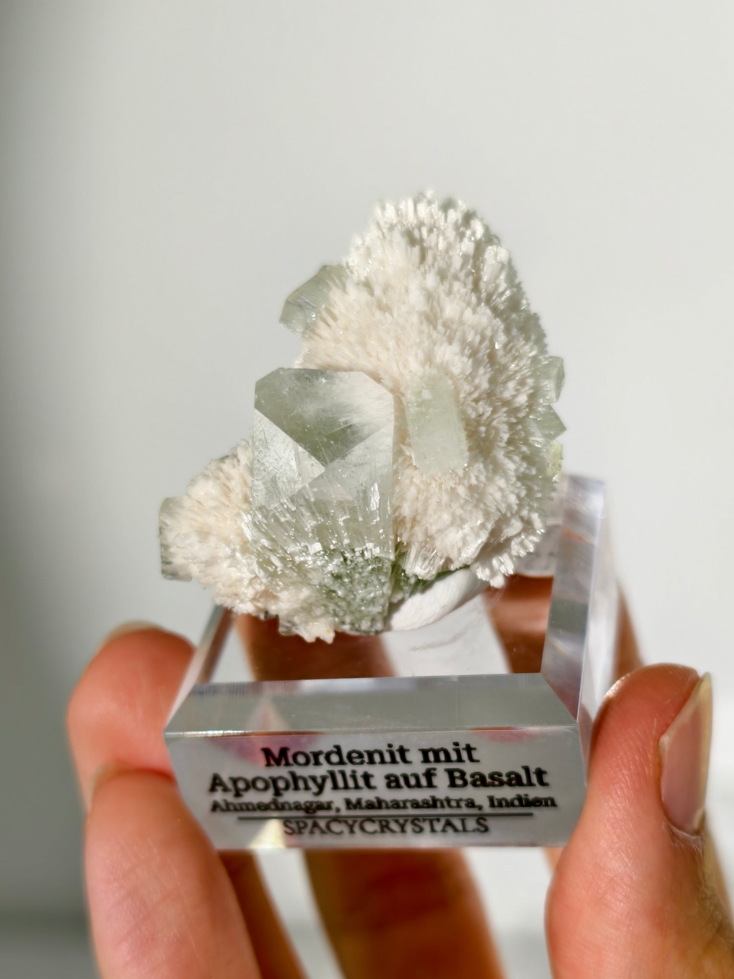 Mordenit mit Apophyllit auf Basalt aus Indien