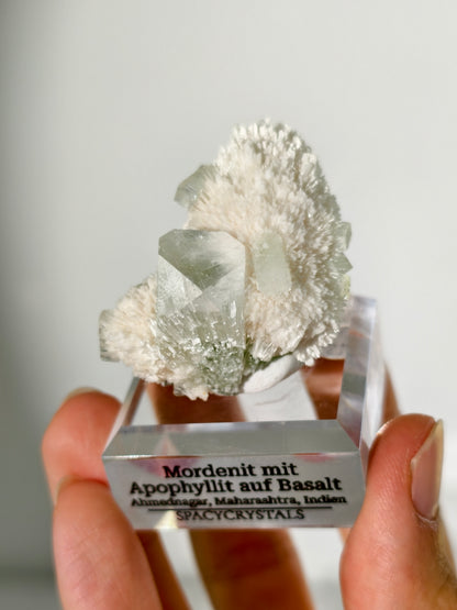 Mordenit mit Apophyllit auf Basalt aus Indien