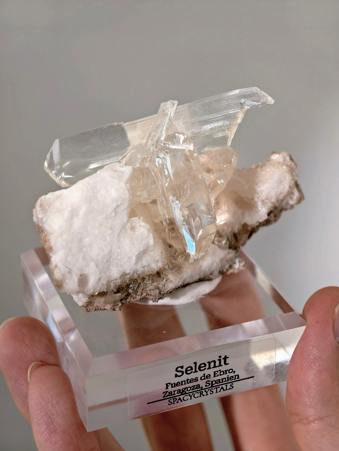 Große Selenit Schwerter auf Alabaster (personal collection release)