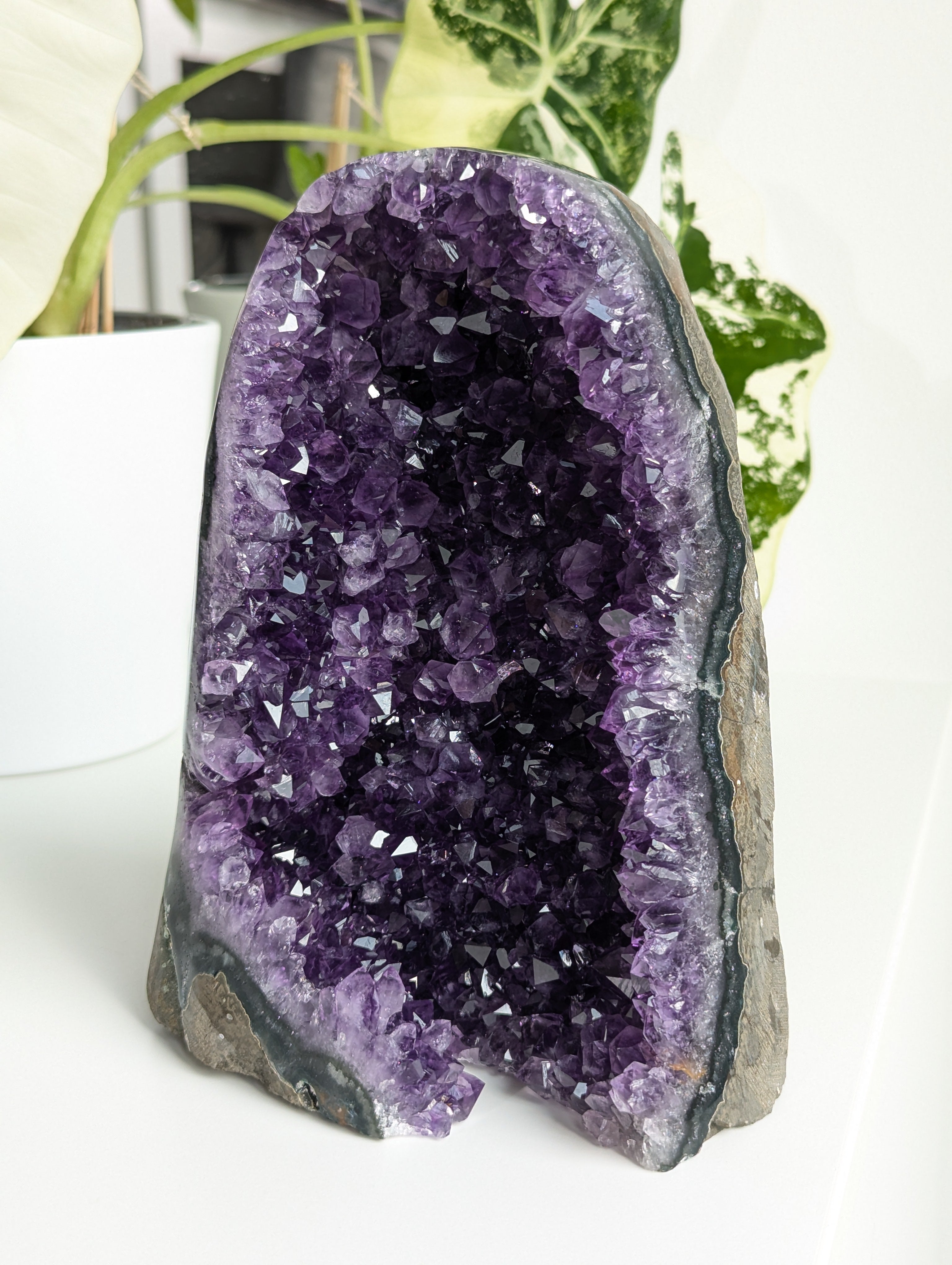 Amethyst Druse AA-Qualität aus Uruguay