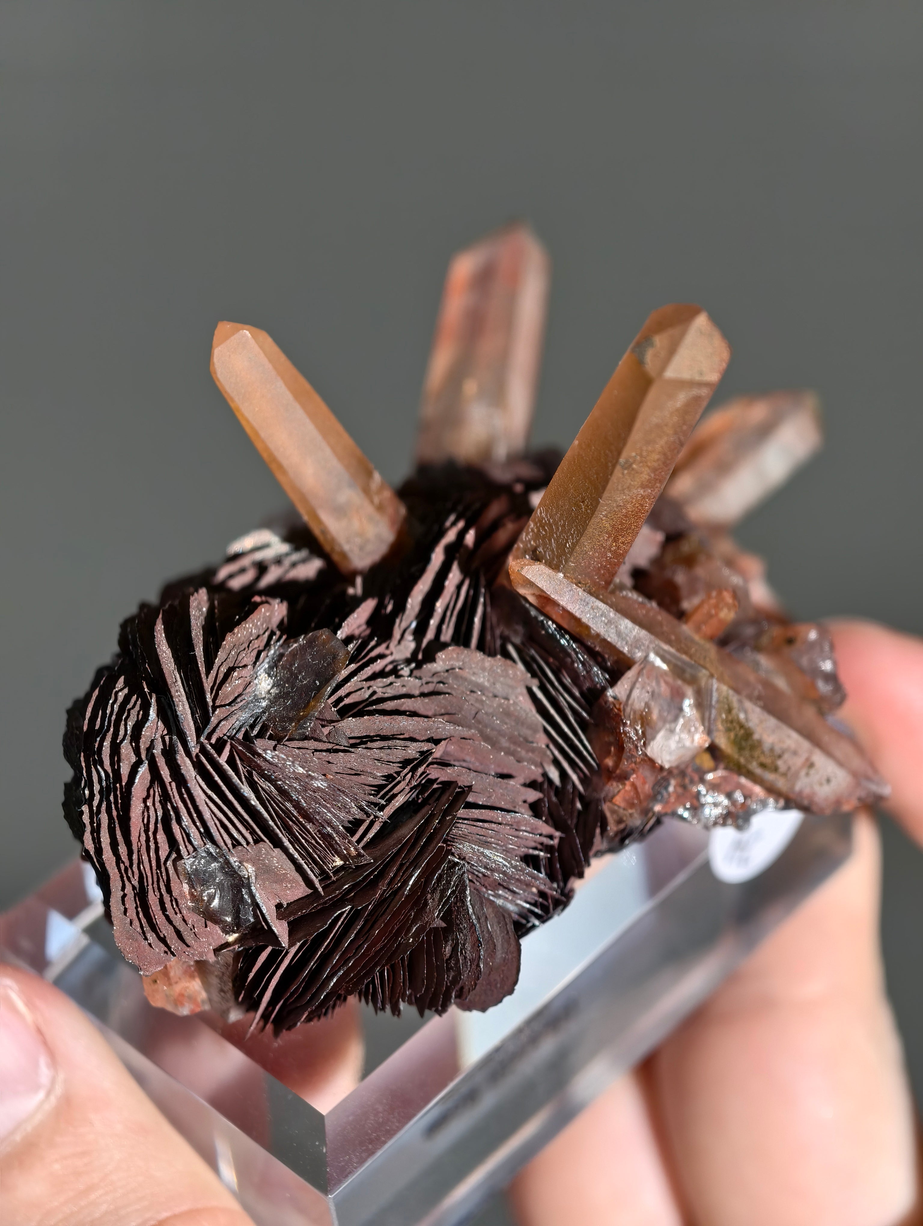 Rote Hämatit Rose mit Hämatitquarz aus Jinlong