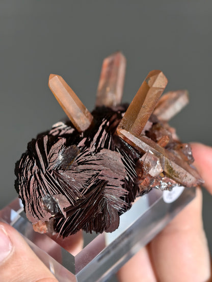 Rote Hämatit Rose mit Hämatitquarz aus Jinlong