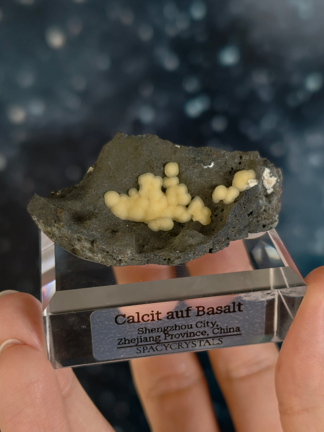 Botryoidaler Calcit auf Basalt - Neuer Fund (groß)