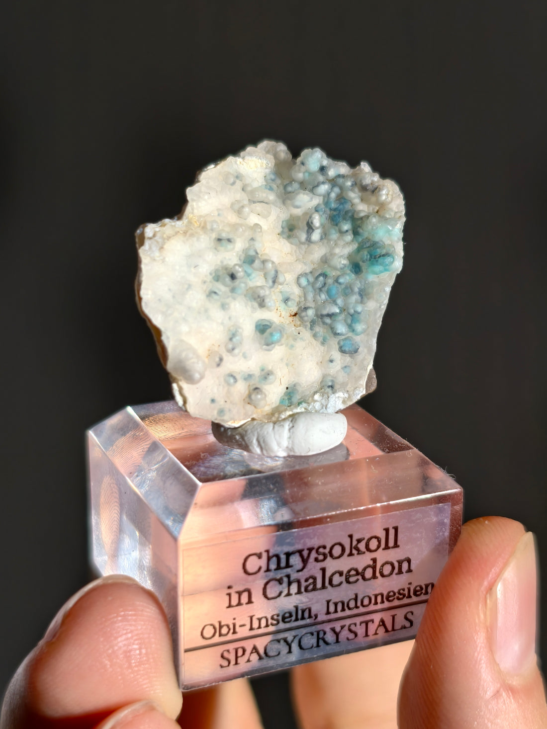 Neufund! Chrysokoll in Chalcedon aus Indonesien