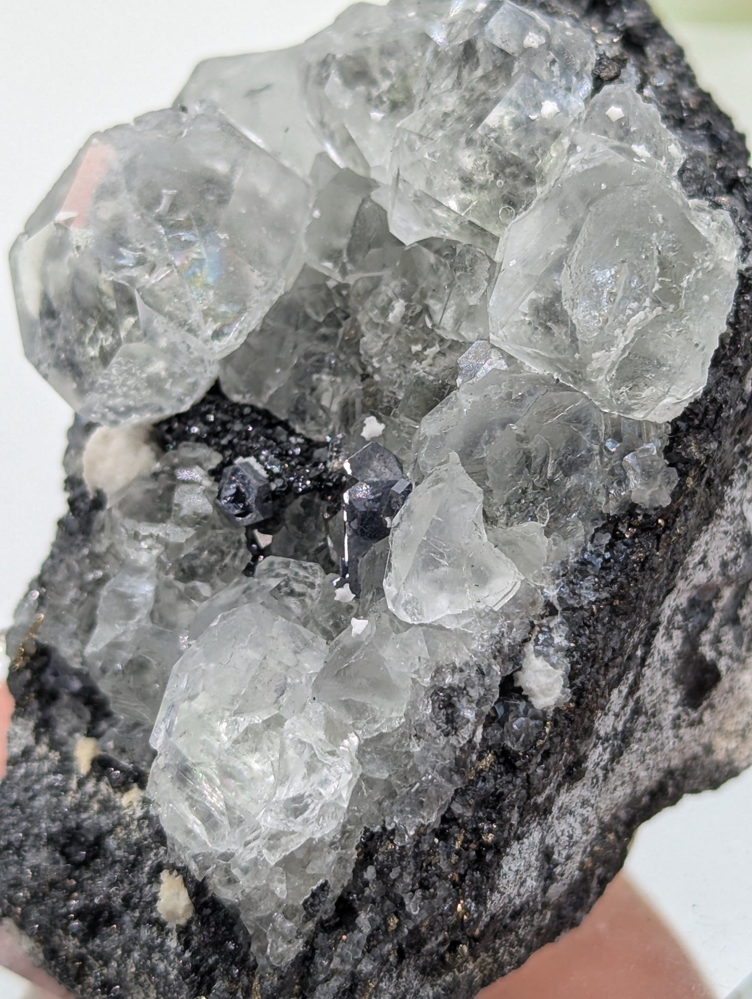 Neuer Fund! Fluorit mit Galenit und Tetraedrit aus Peru