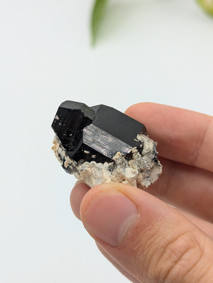 Schwarzer Turmalin (Schörl) aus Erongo III