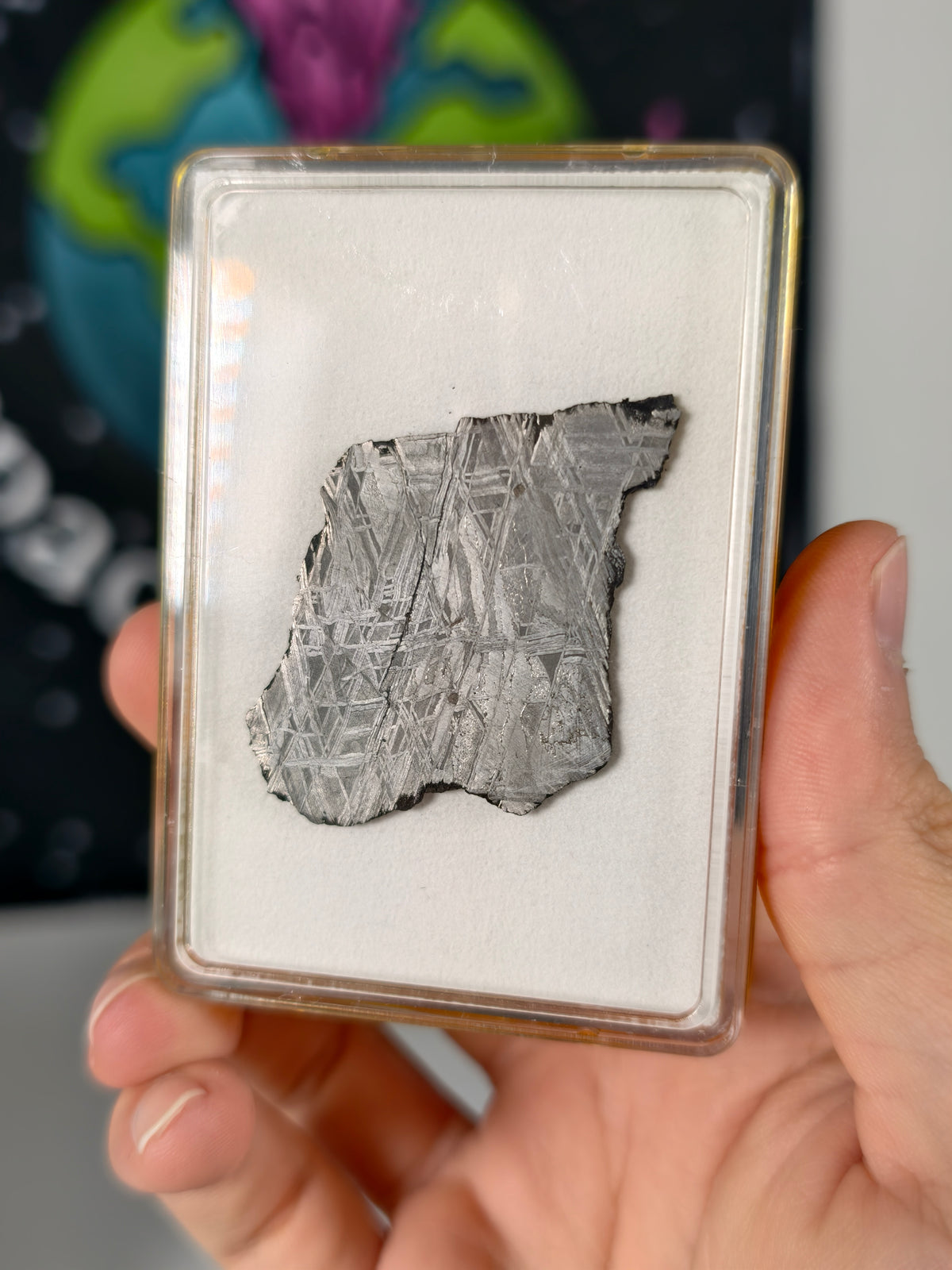 Muonionalusta Meteorit Scheibe 13,33g mit Zertifikat