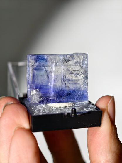 Blauer Halit aus Türkei in Box