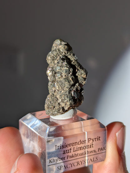 Irisierender Pyrit auf Limonit