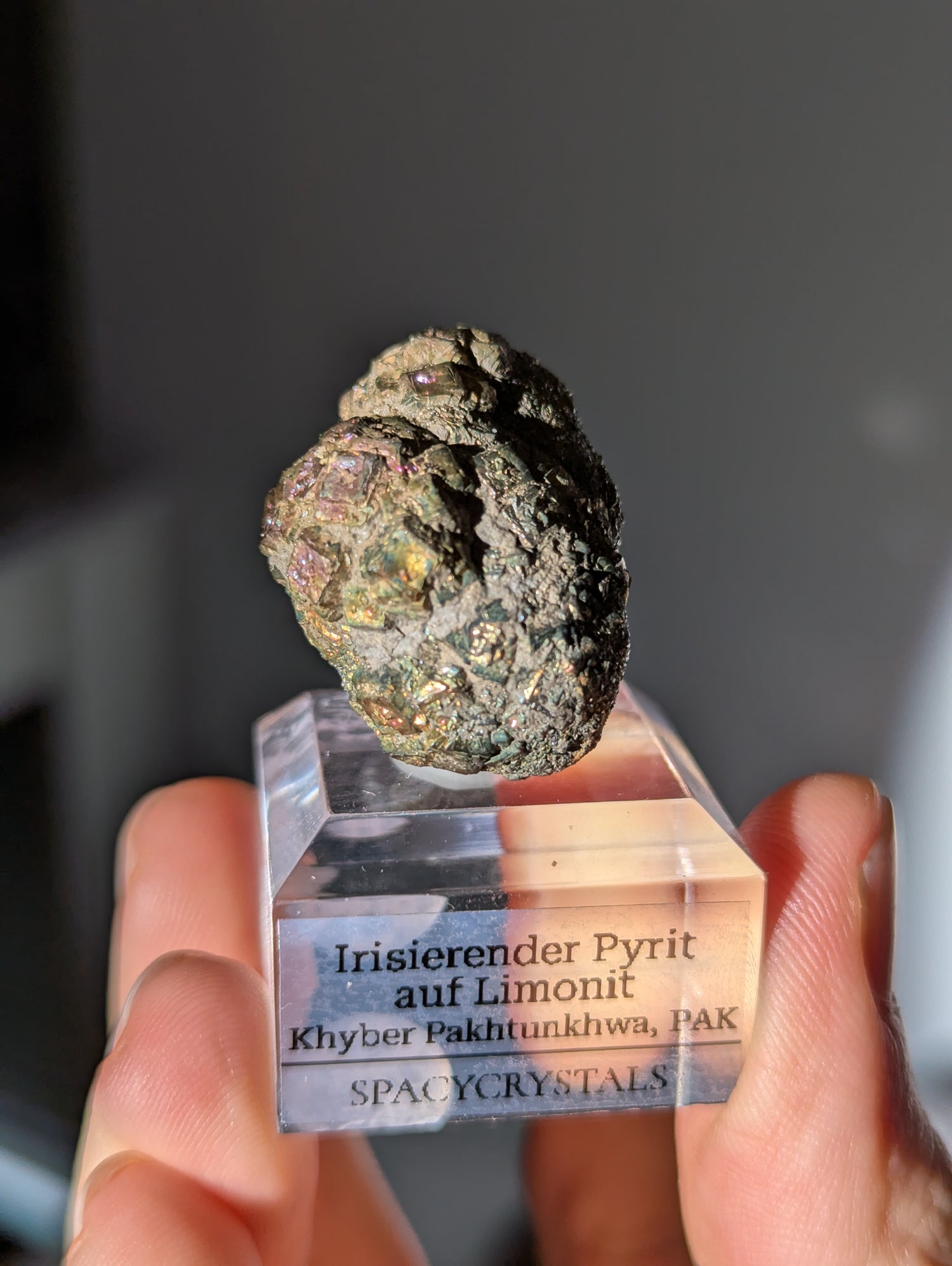 Irisierender Pyrit auf Limonit