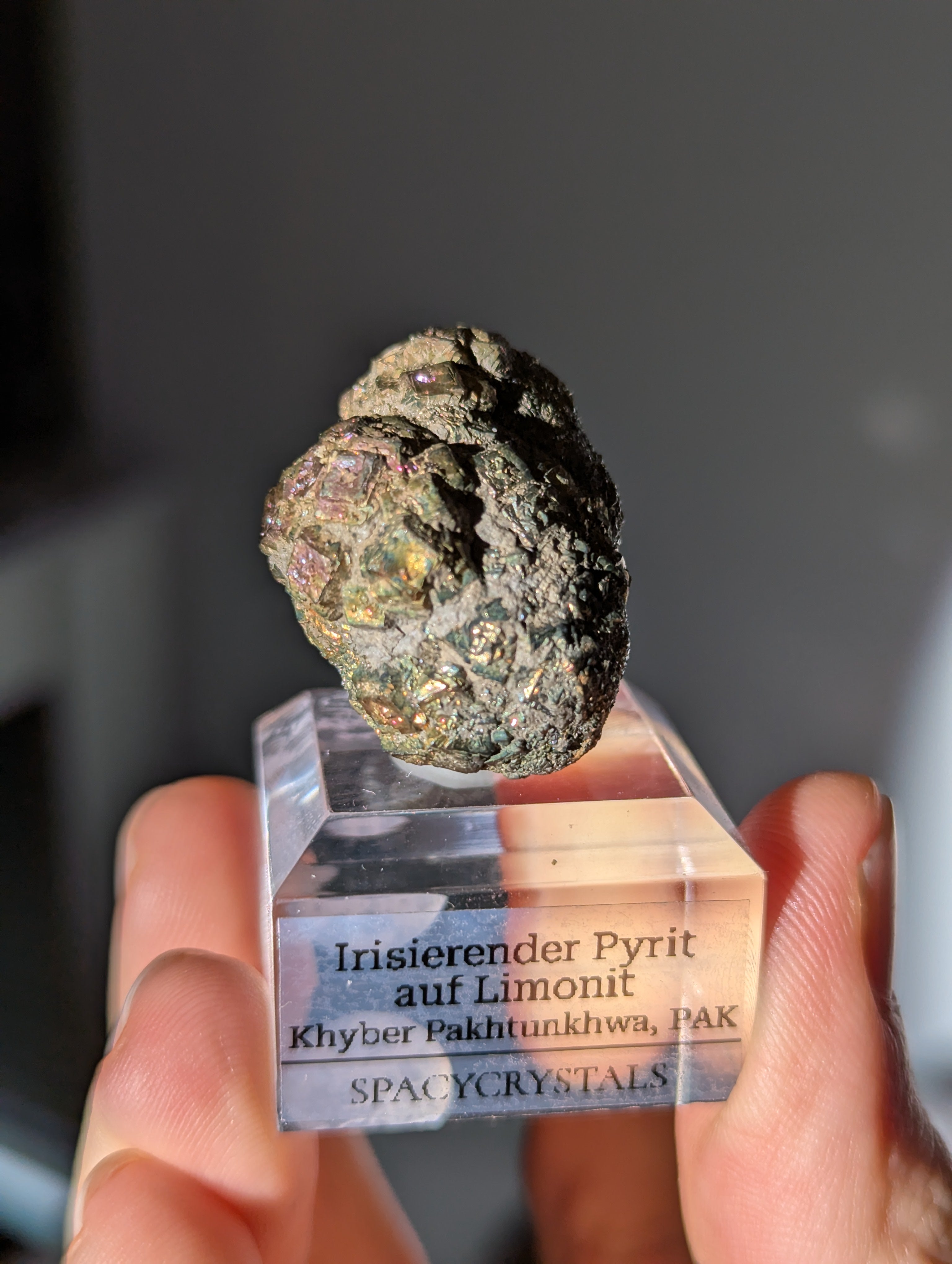 Irisierender Pyrit auf Limonit