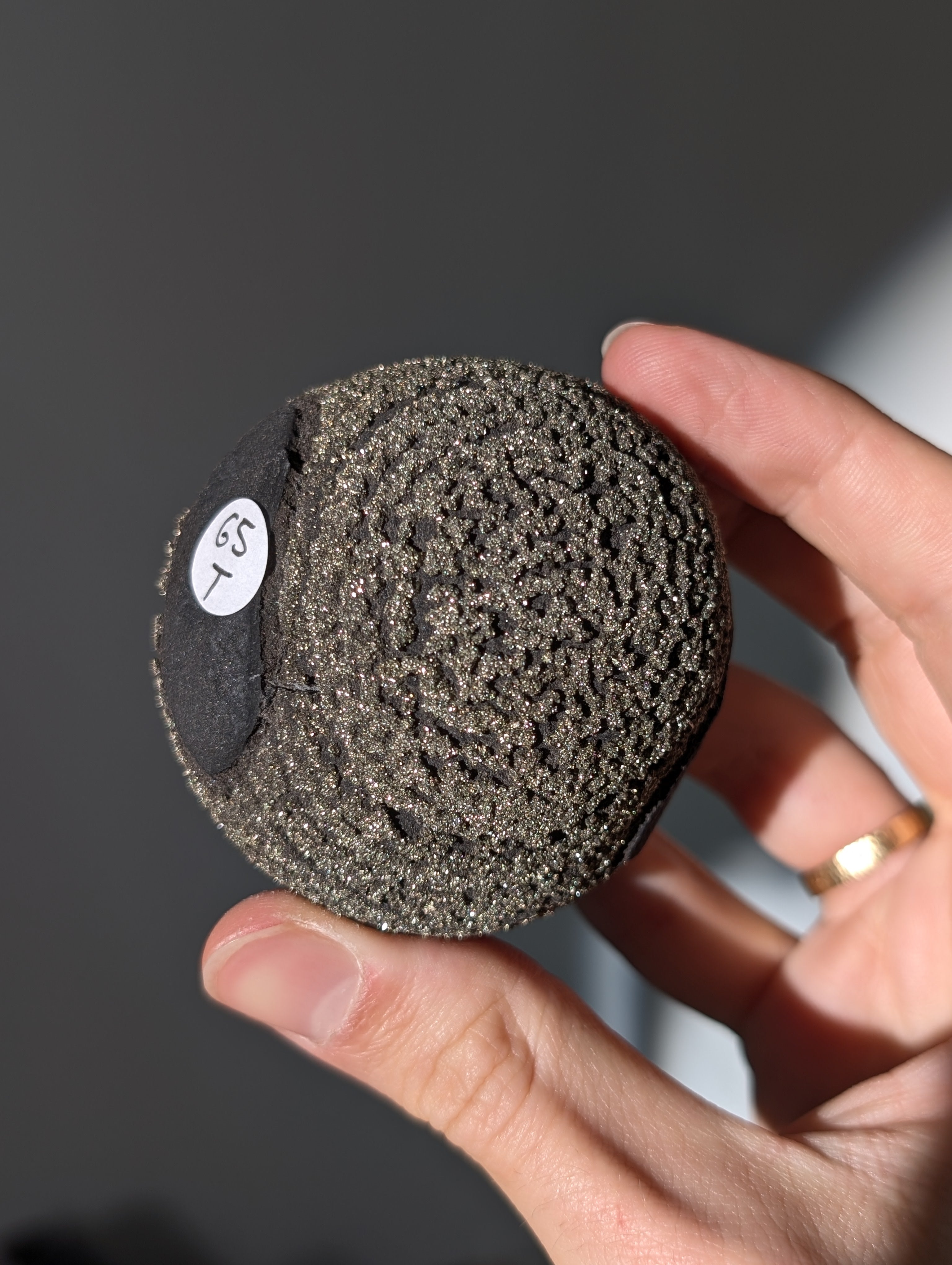 Pyrit Konkretion Schiefer Kugel