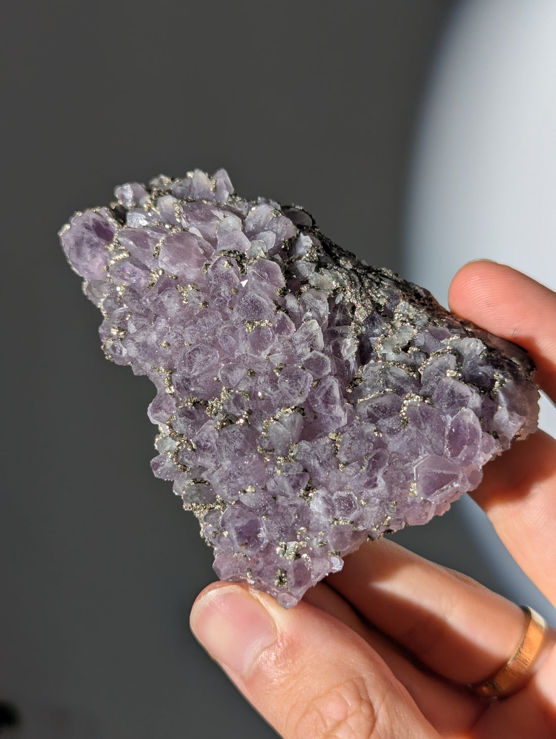 Pyrit auf Amethyst aus Bulgarien ✨