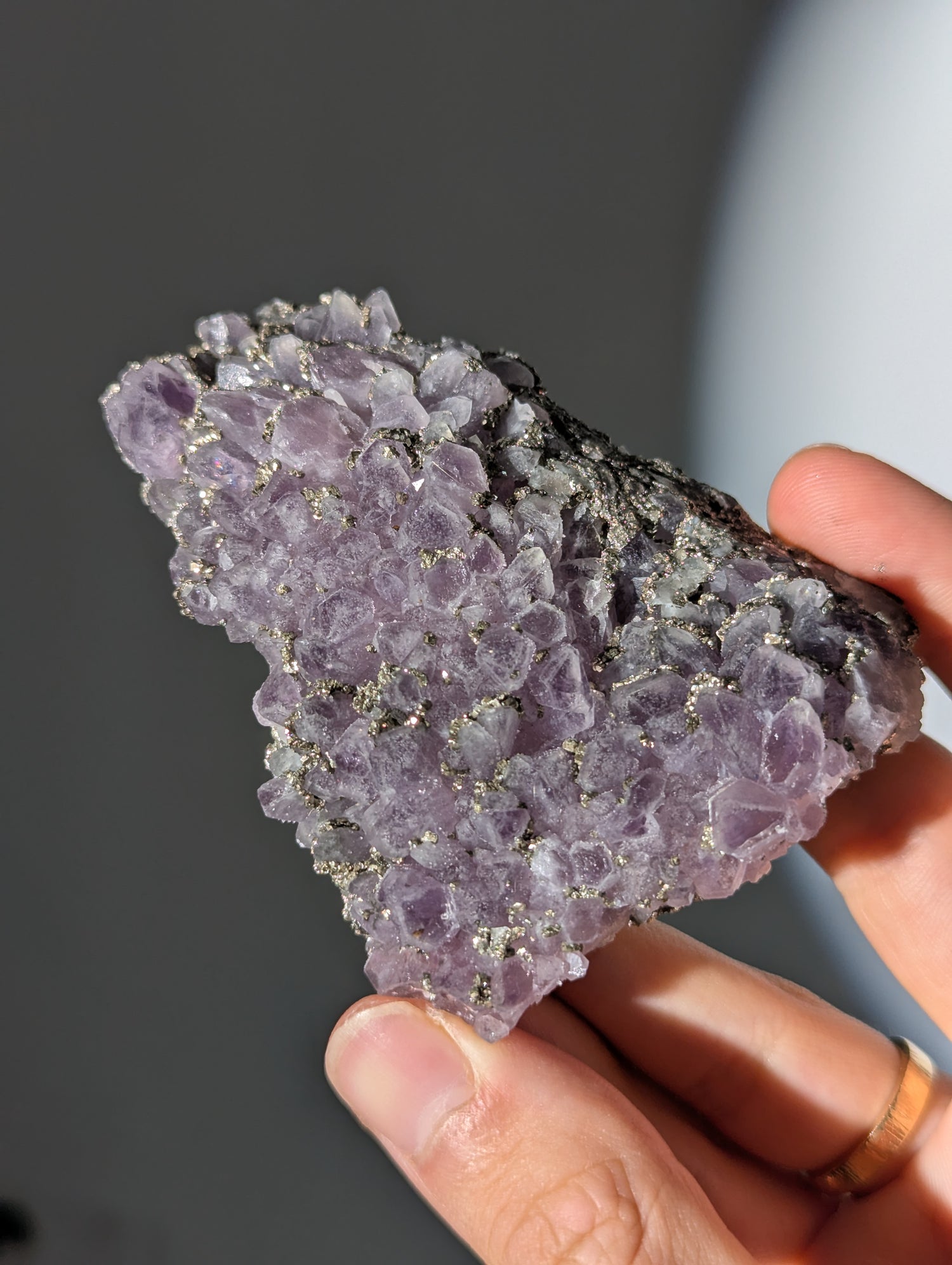 Pyrit auf Amethyst aus Bulgarien ✨