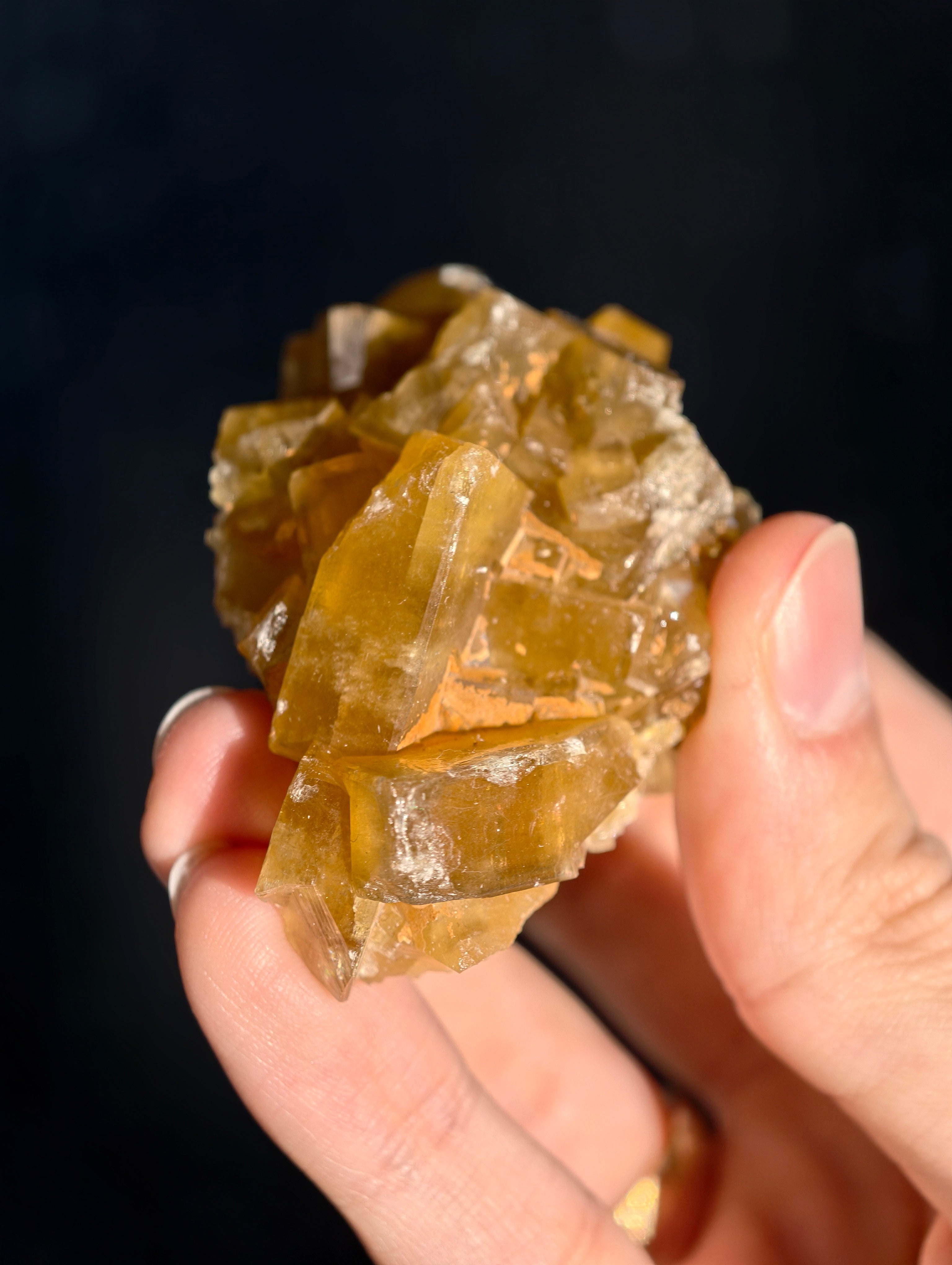 Goldgelber Barit 🍯 aus Jiangxi