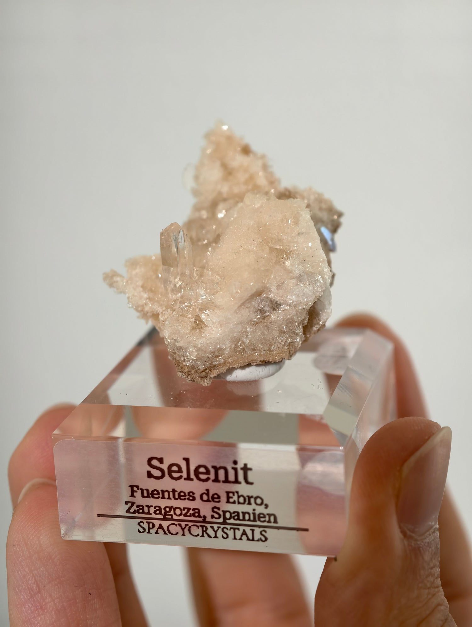 Selenit aus Spanien (UV-Aktiv)