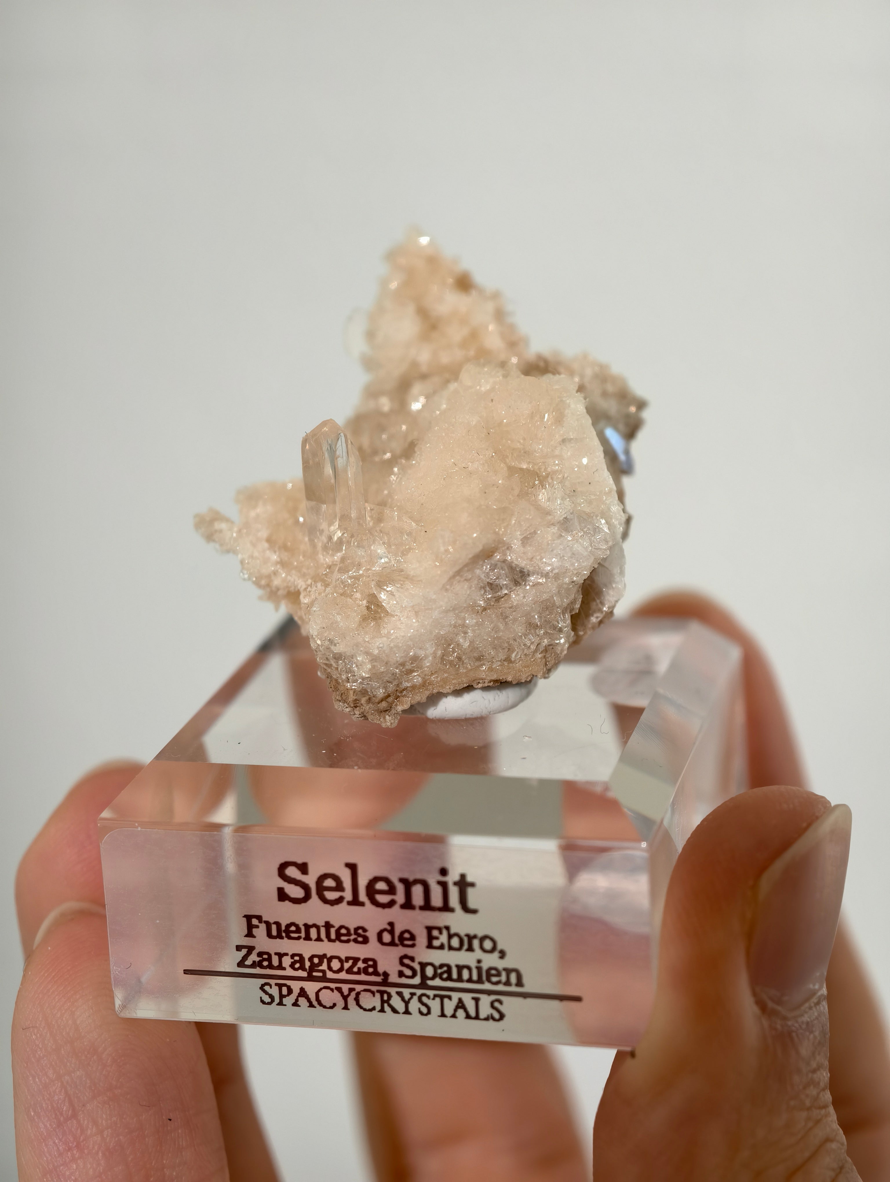 Selenit aus Spanien (UV-Aktiv)