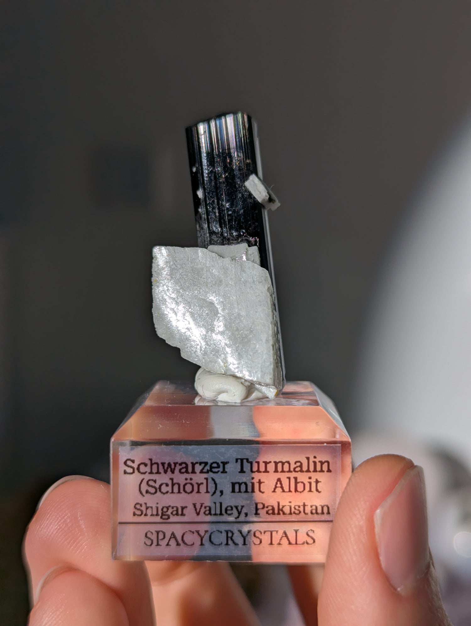 Schwarzer Turmalin (Schörl) mit Albit auf Podest