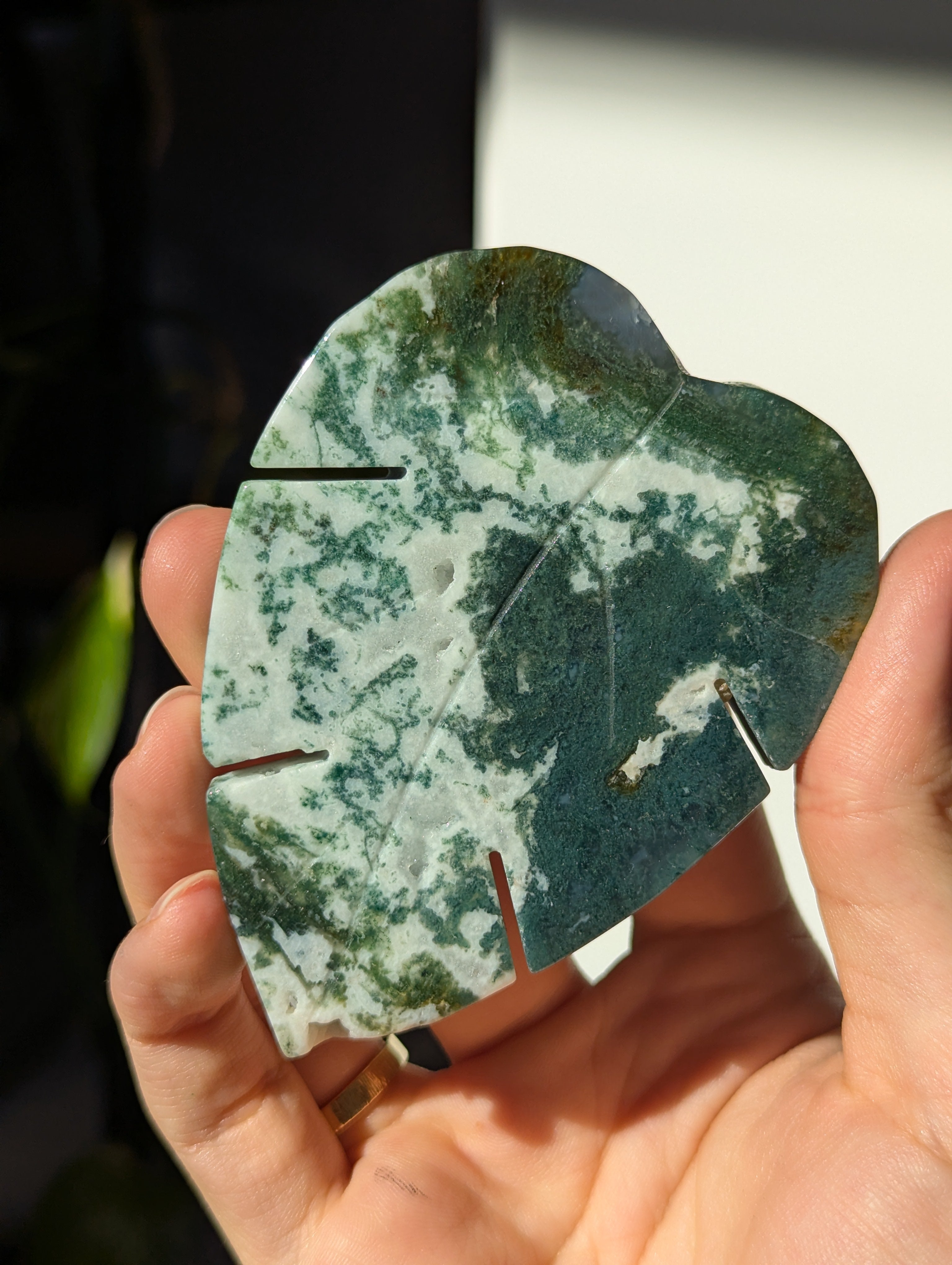 Moosachat Monstera Blatt (wähle dein eigenes)