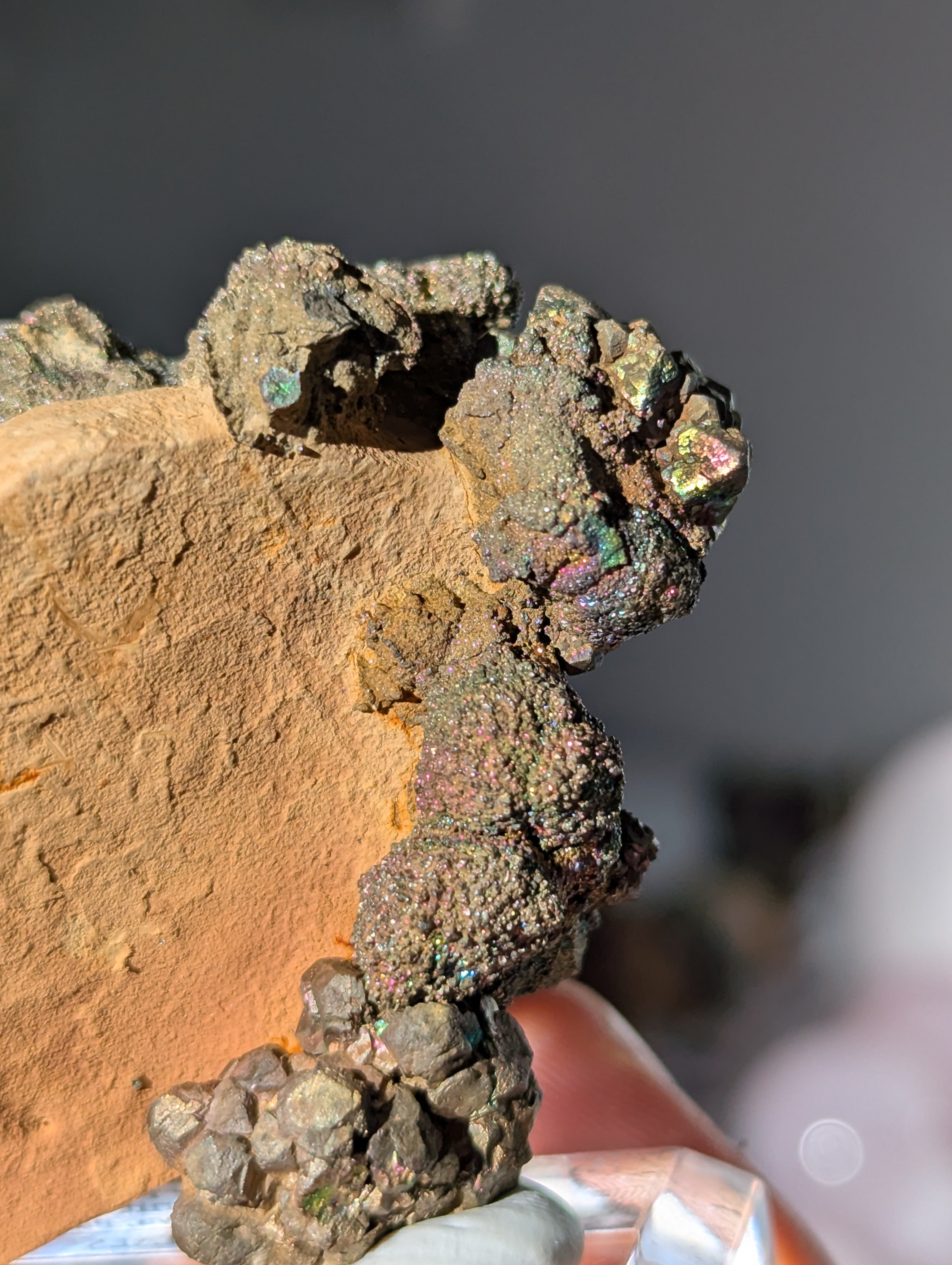 Irisierender Pyrit auf Limonit