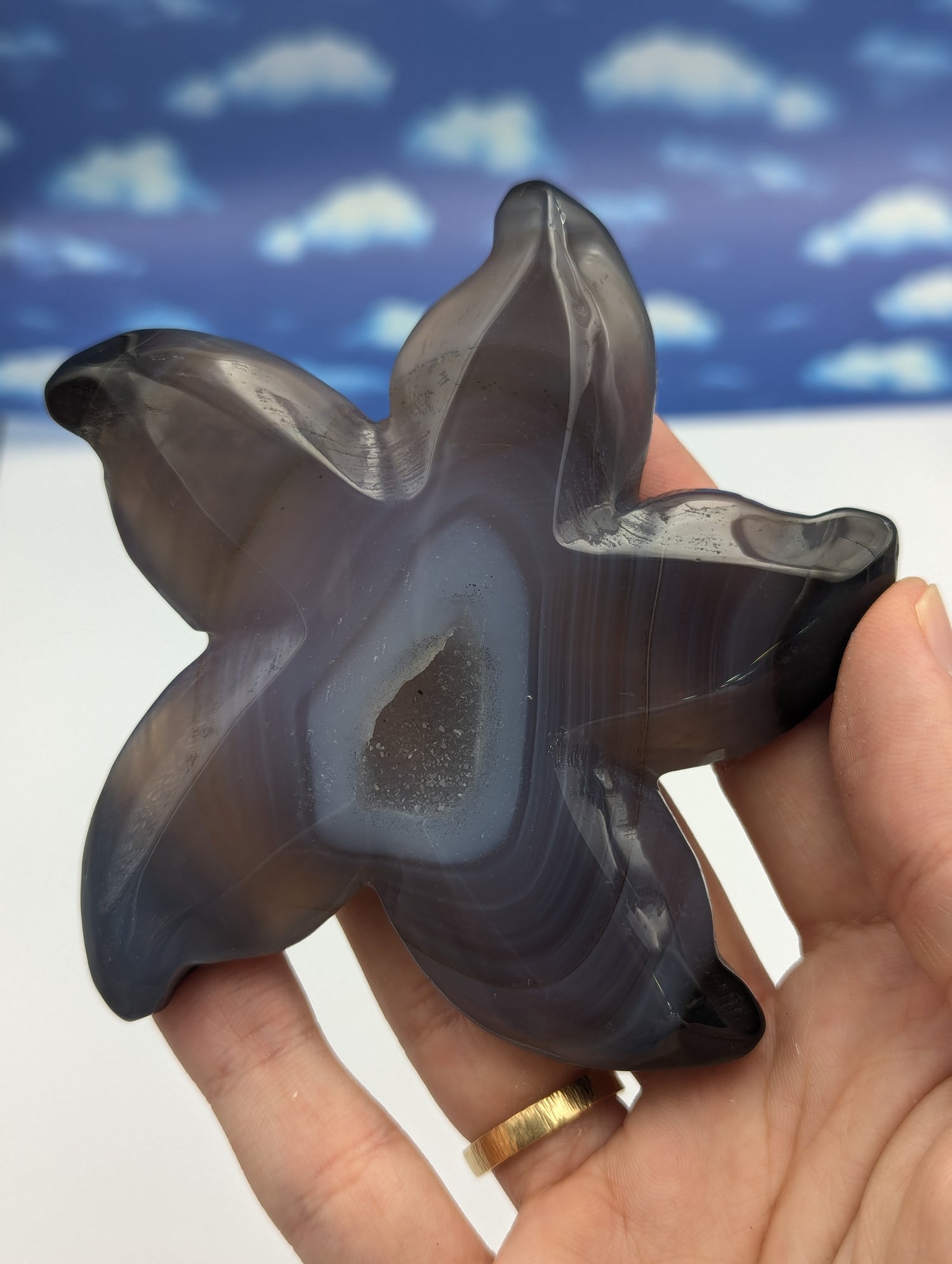 Achat Seestern mit Kristall Druse