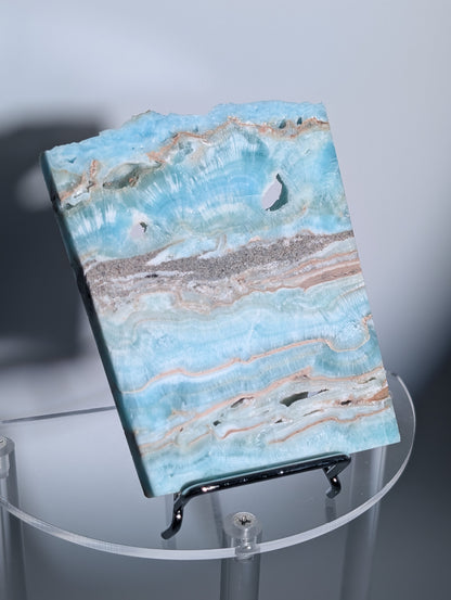 Karibik Aragonit Platte auf Ständer 🏝️