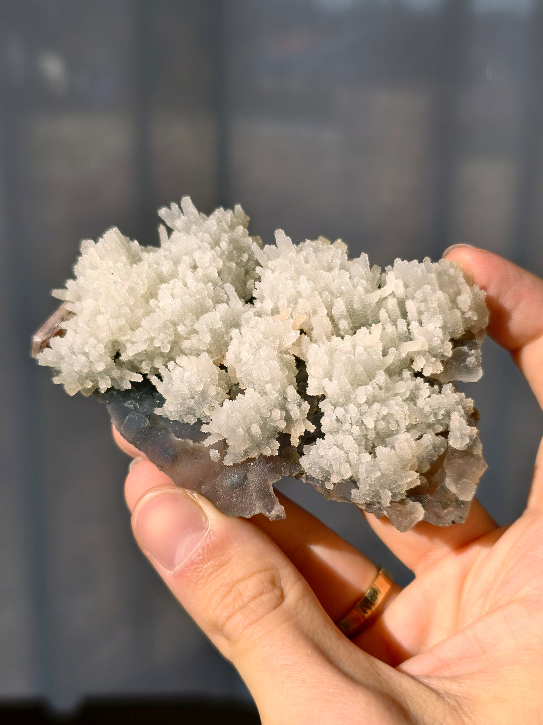 Chalcedon Stalaktiten auf dunklem Chalcedon (2. Generation) Neu!
