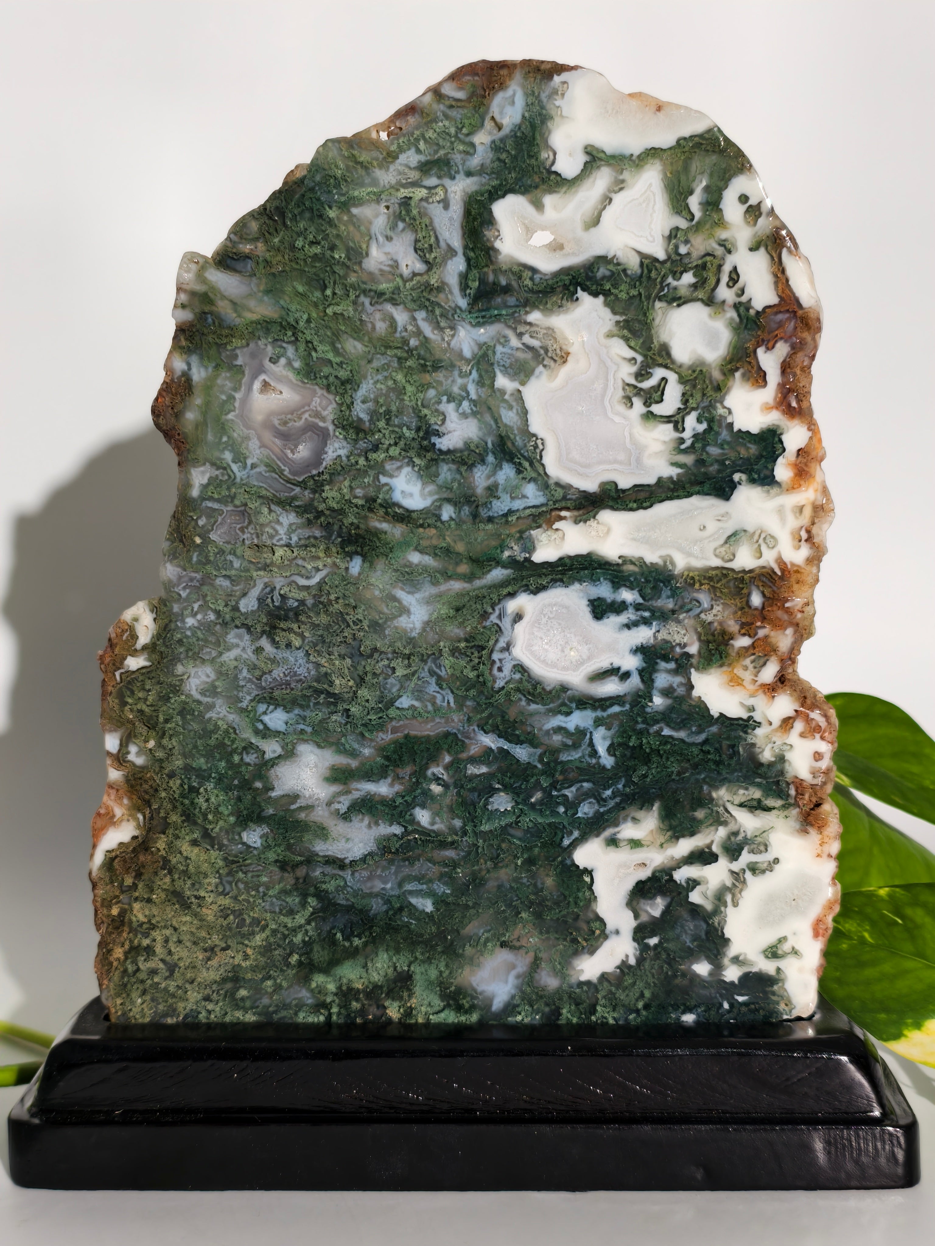 Moosachat Platte auf Holzsockel