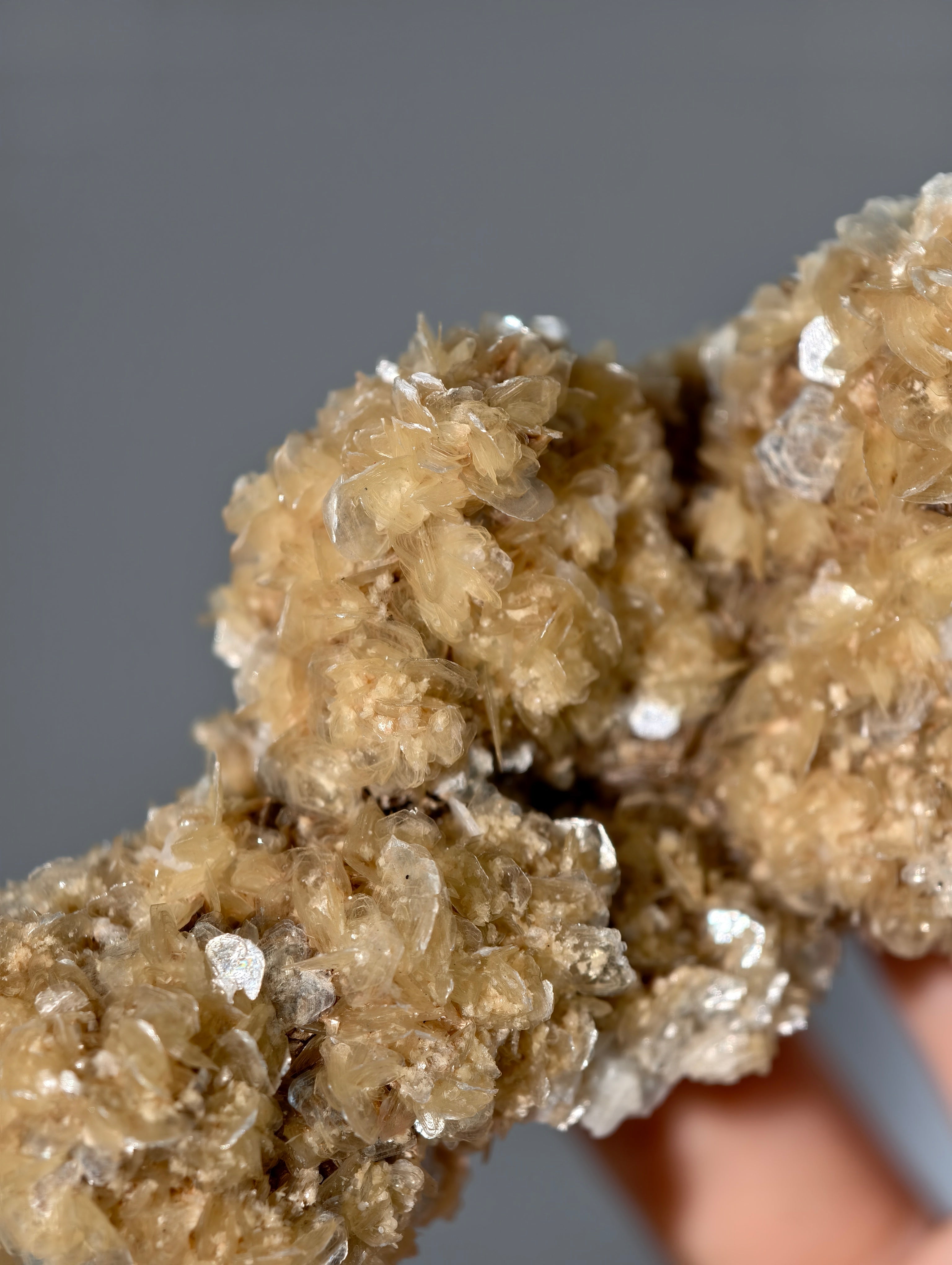 Goldgelbe Muskovit Stufe aus Brasilien