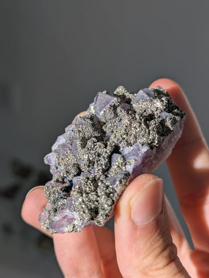 Pyrit auf Amethyst aus Bulgarien ✨