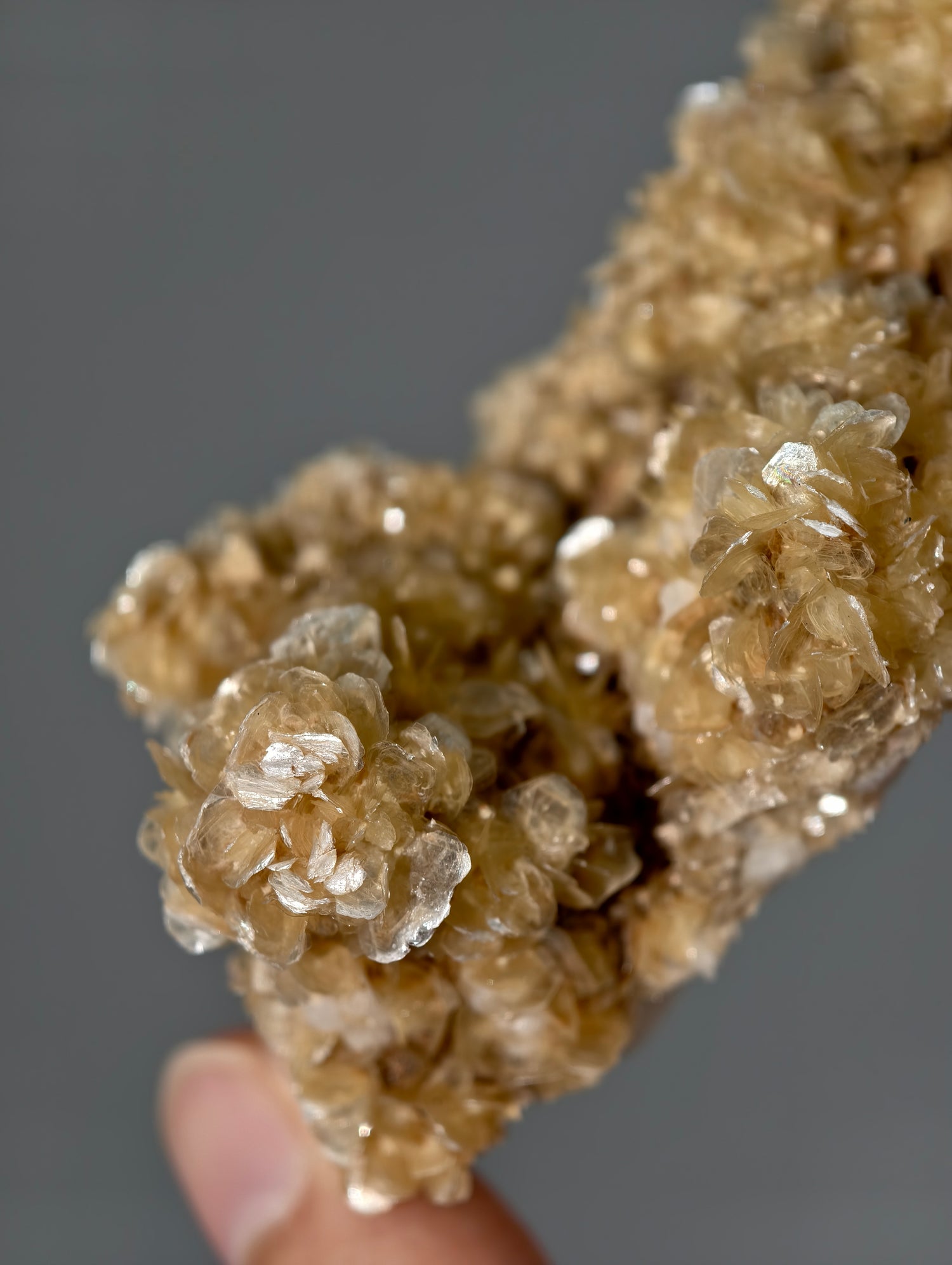 Goldgelbe Muskovit Stufe aus Brasilien