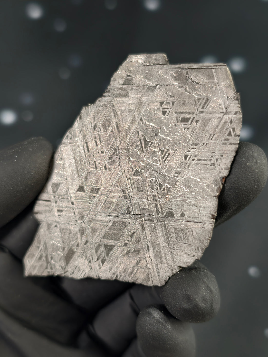 Muonionalusta Meteorit Scheibe 27,5g mit Zertifikat