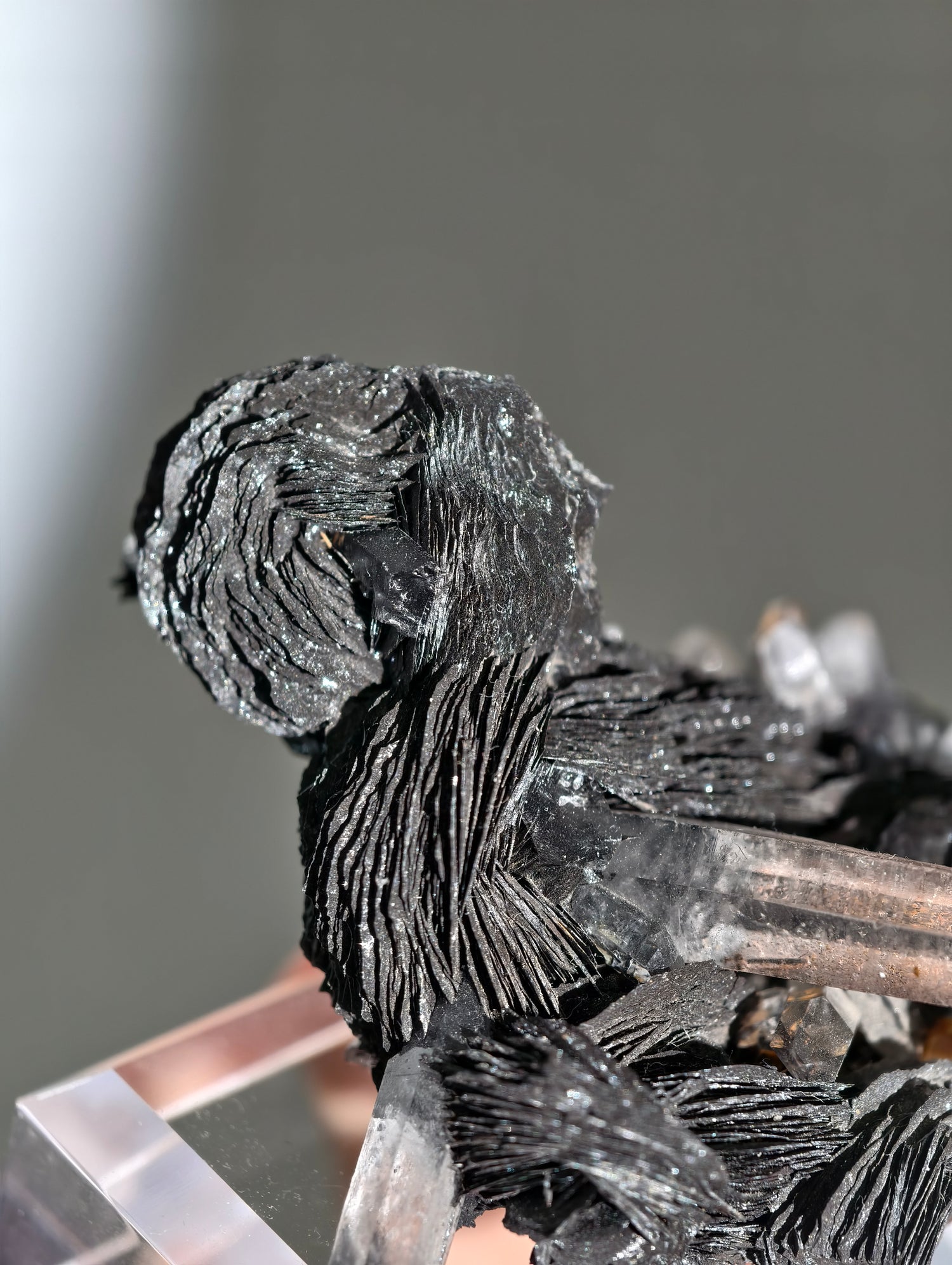 Schwarze Hämatit Rose mit Bergkristall aus Jinlong