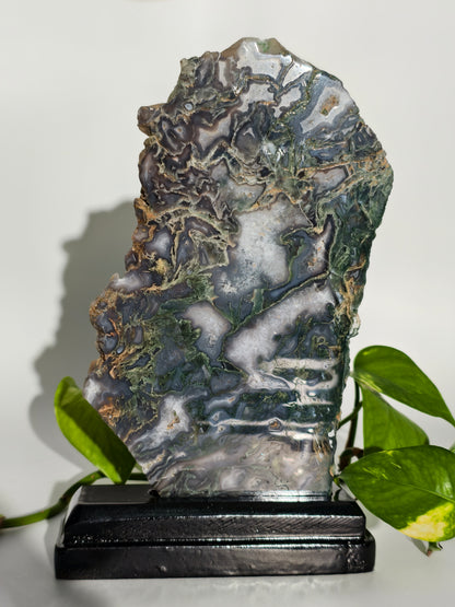 Moosachat Platte auf Holzsockel